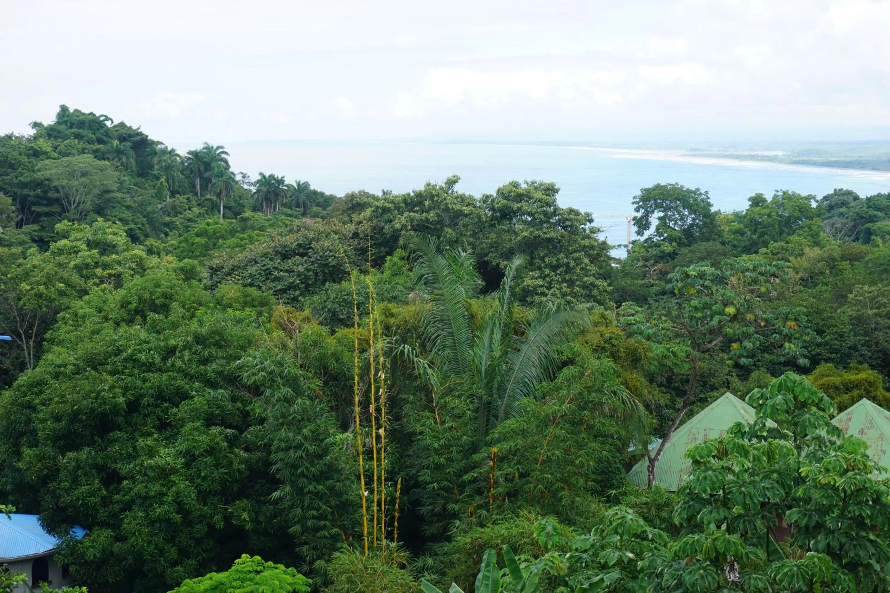 Mountain view in Hotel Planeta Sano