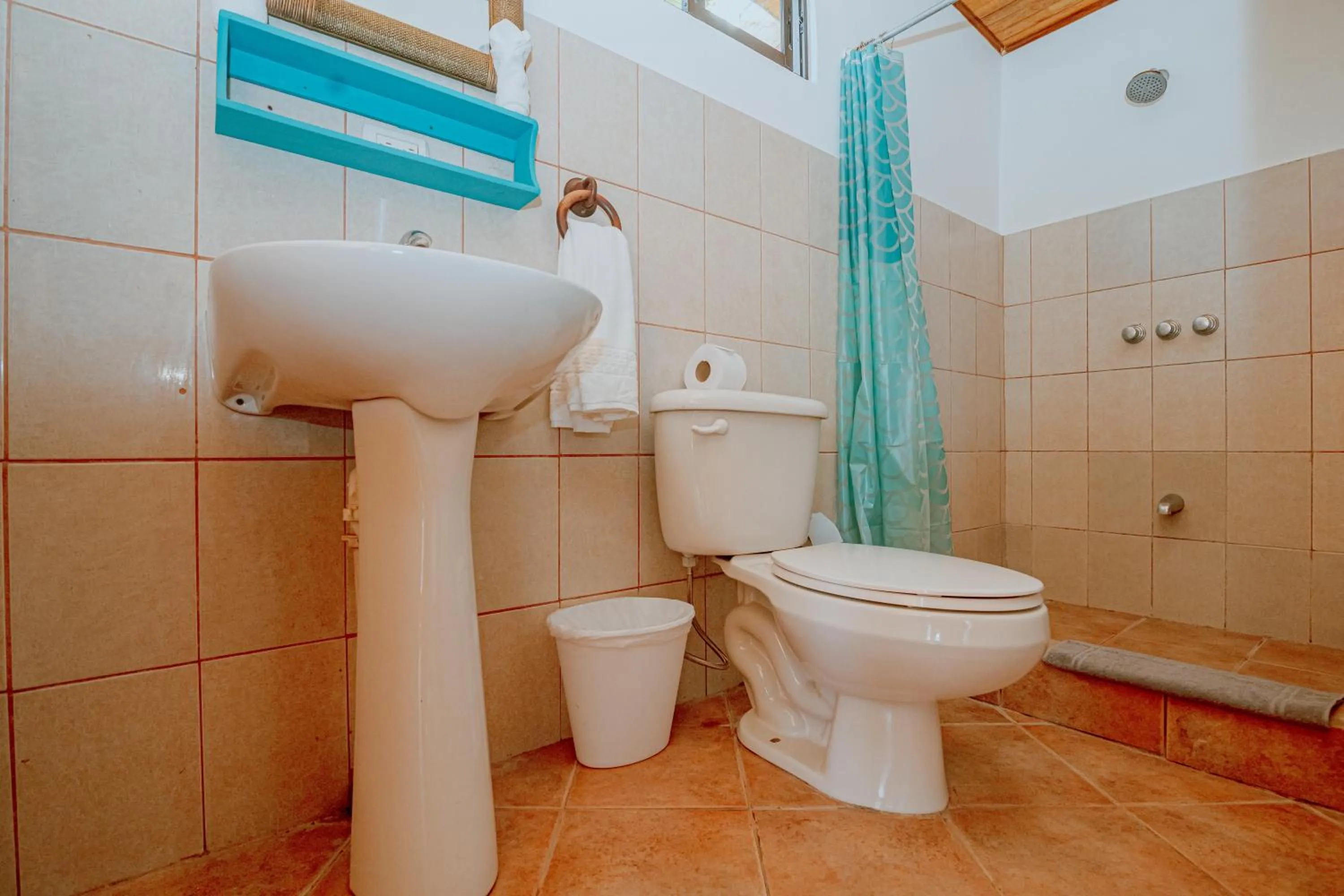 Shower in Hotel Planeta Sano