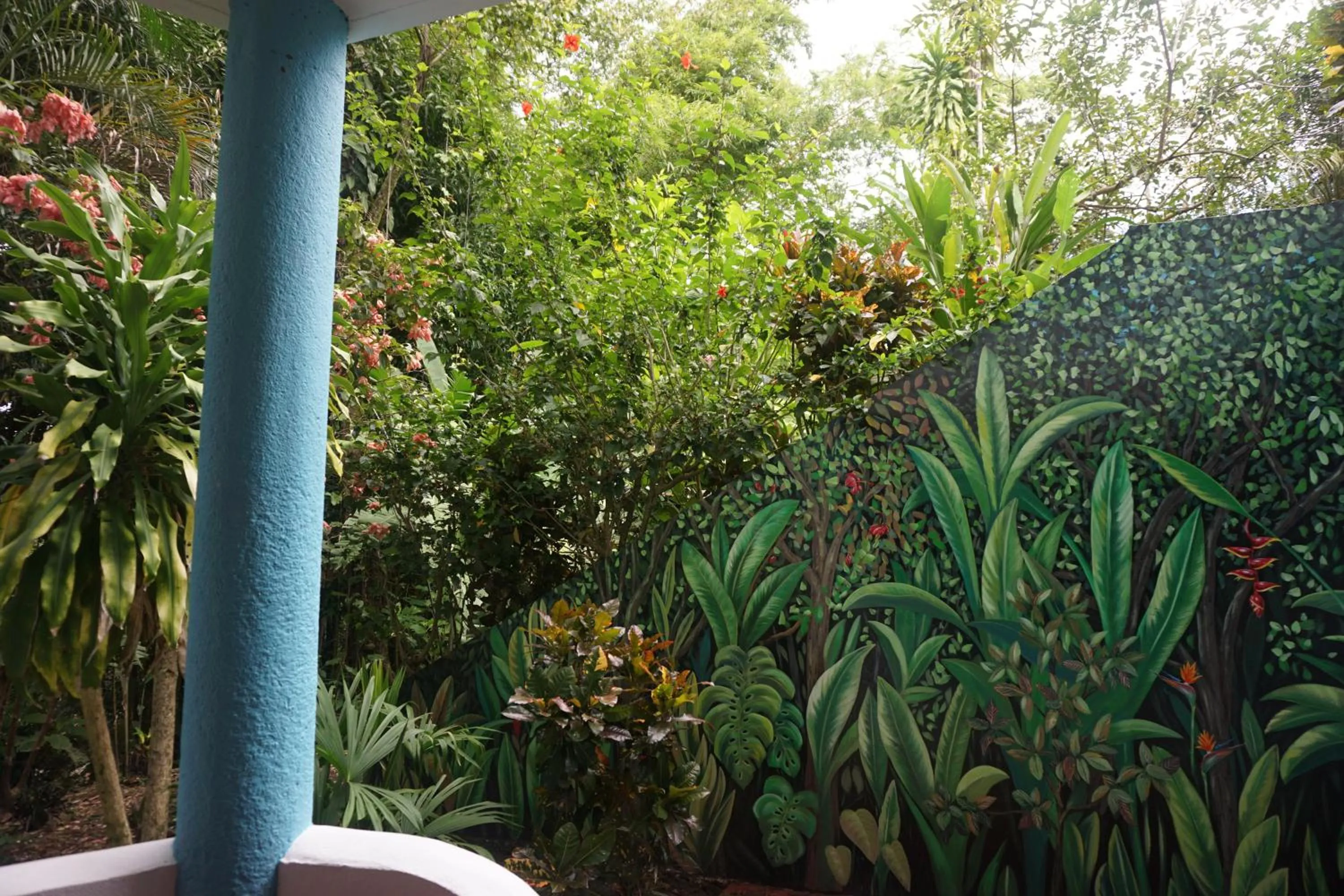 Garden in Hotel Planeta Sano