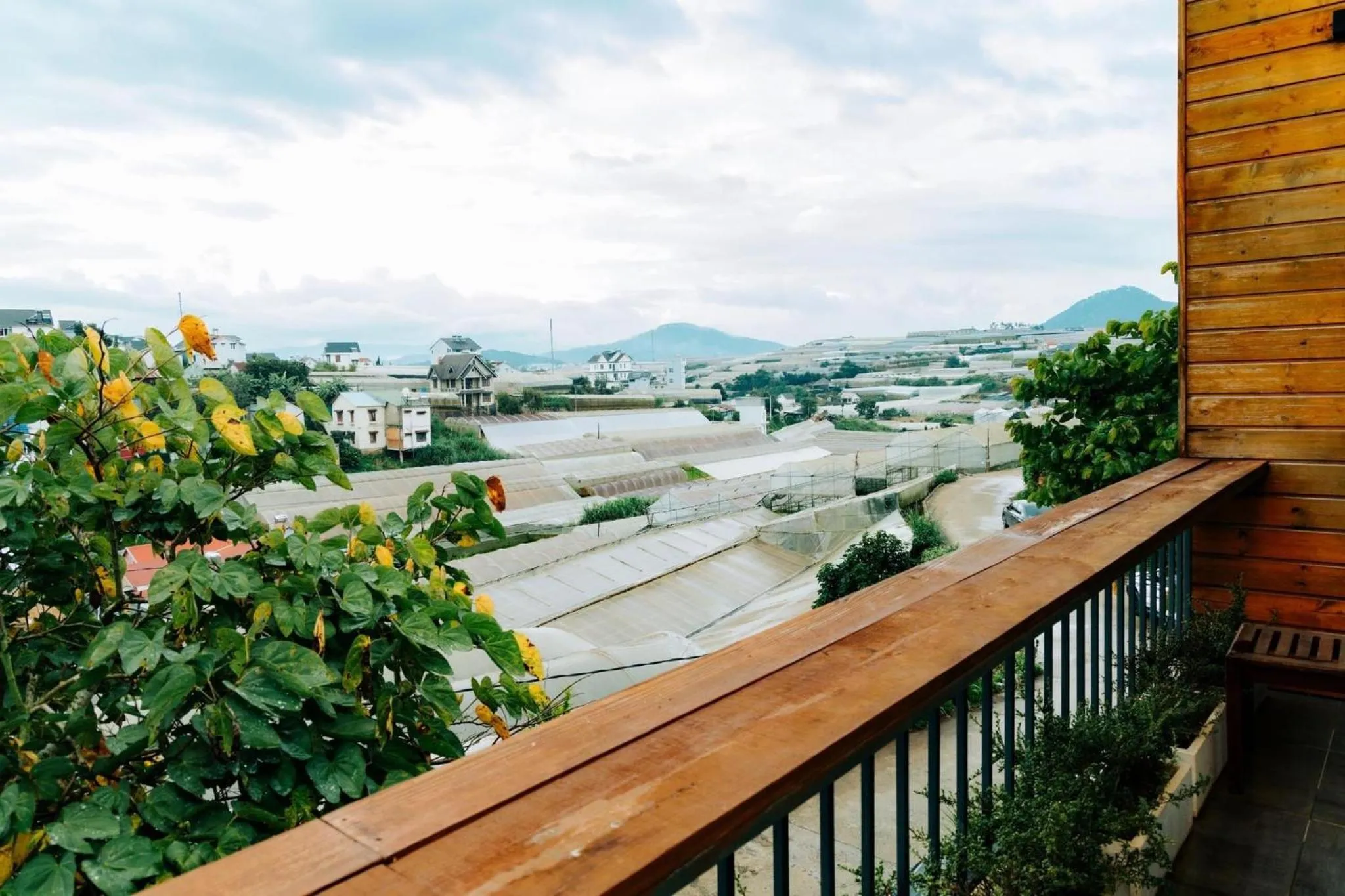 Garden in Nhà Sói Homestay Da Lat