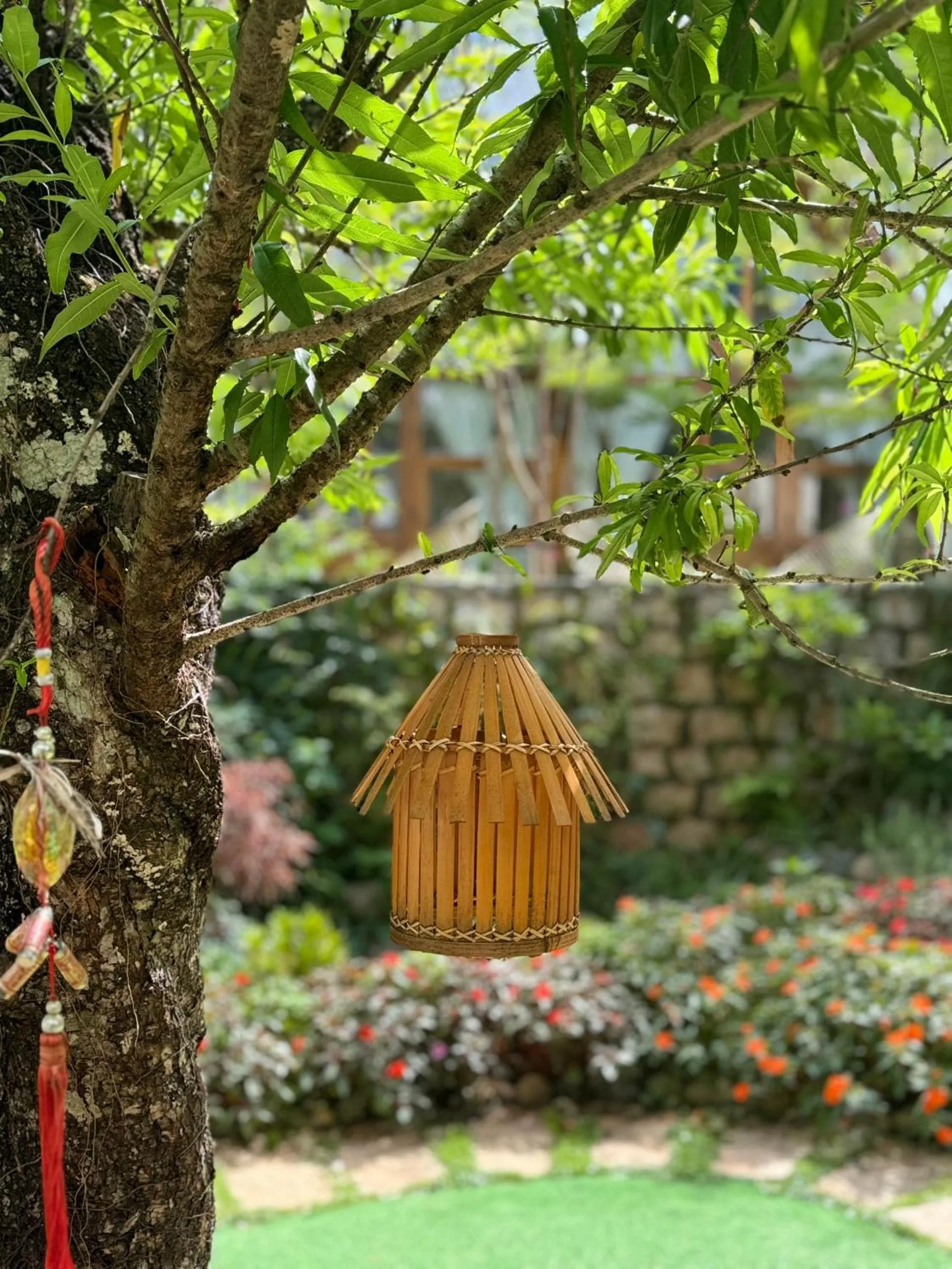 Garden in Nhà Sói Homestay Da Lat