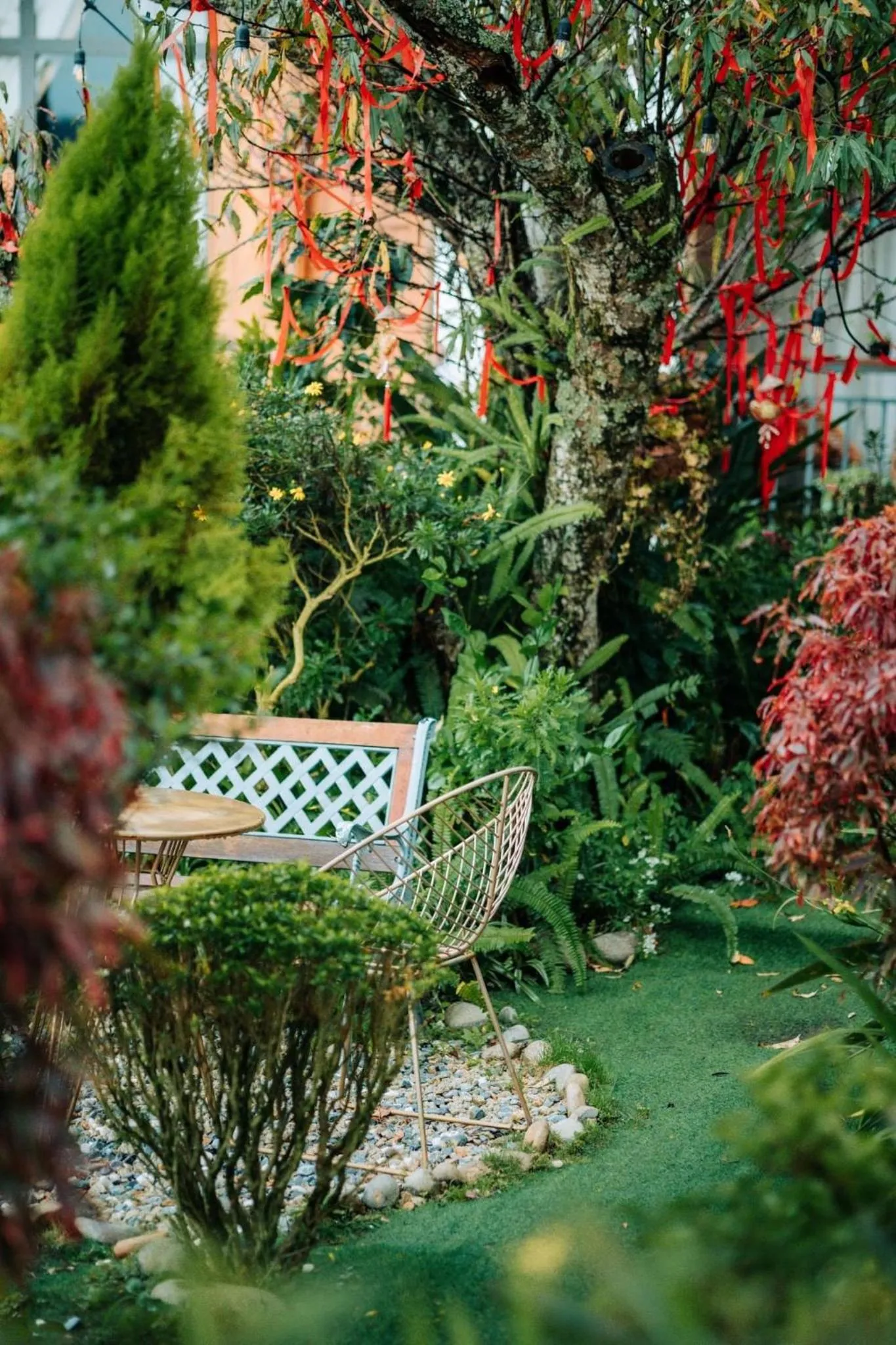 Garden in Nhà Sói Homestay Da Lat