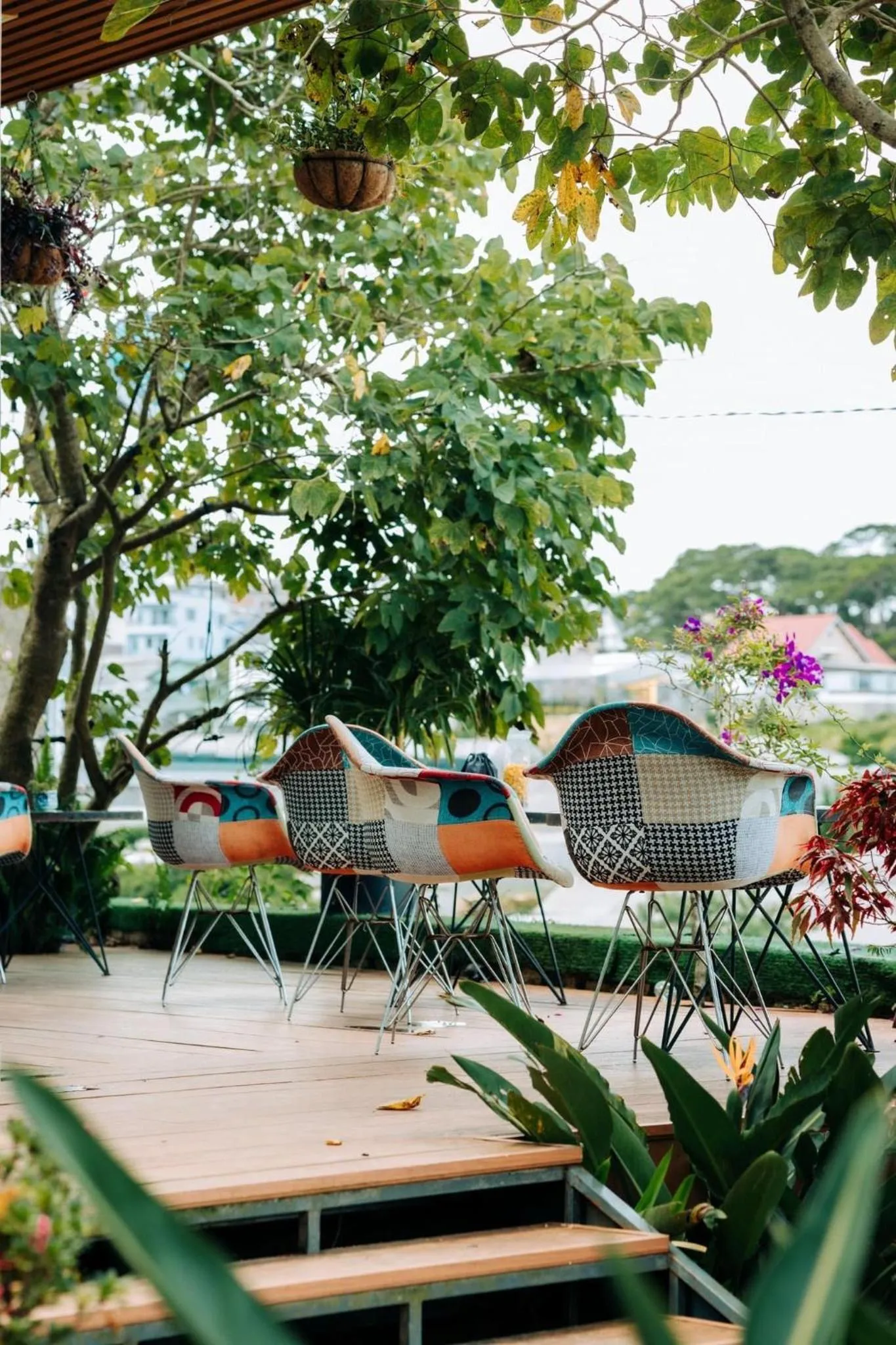 Garden in Nhà Sói Homestay Da Lat