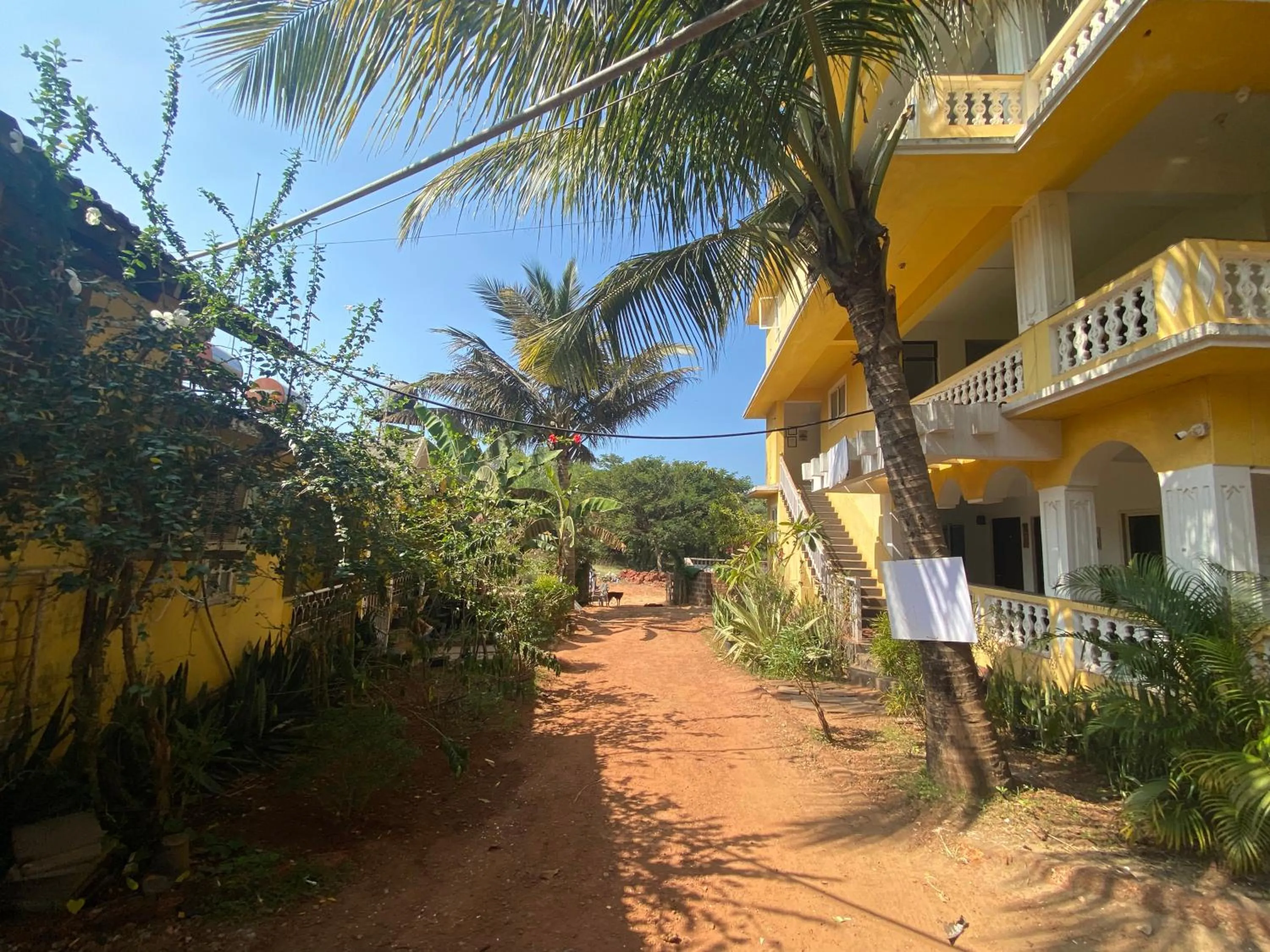 The Mamta Courtyard Anjuna