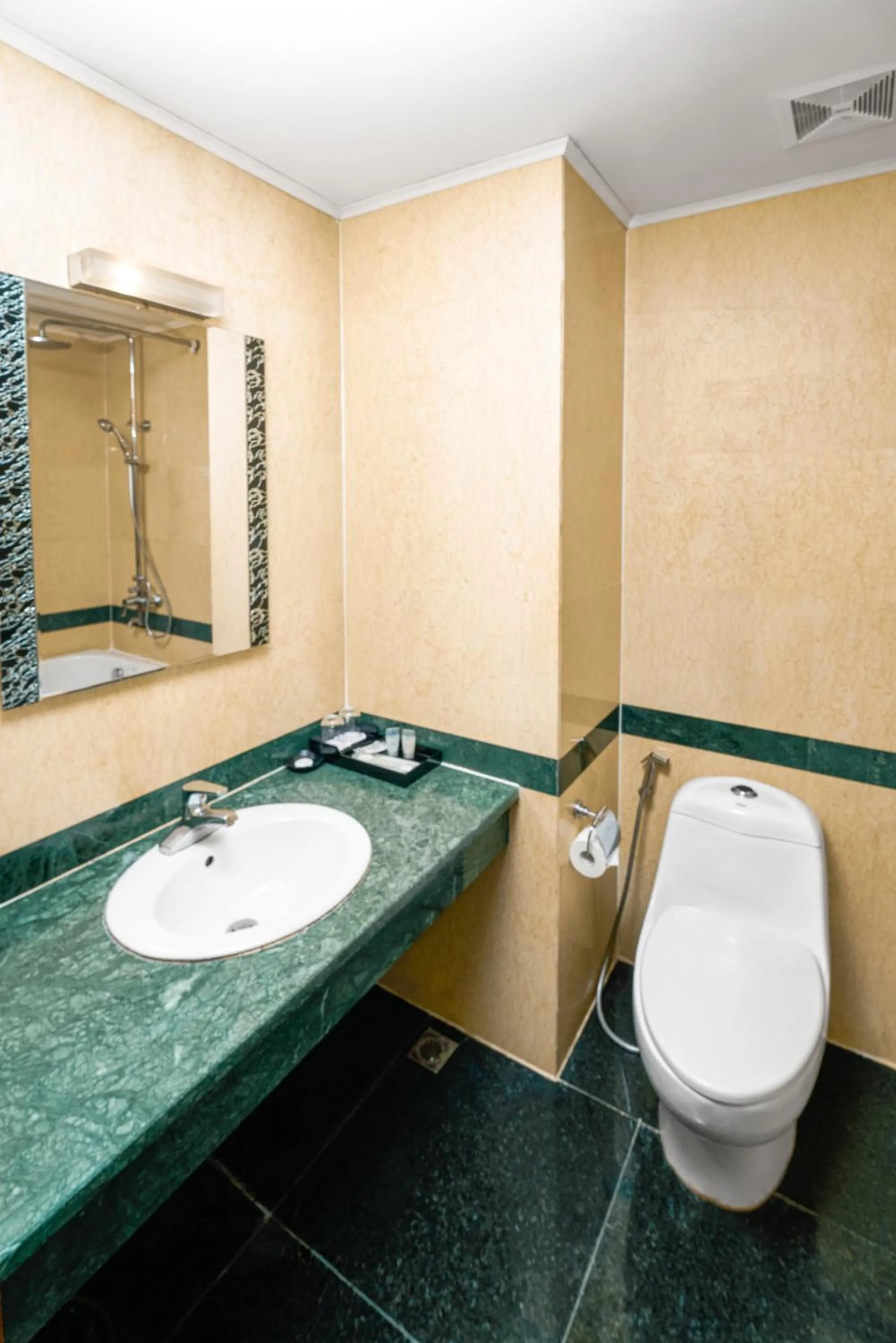 Toilet in EDEN HOTEL HÀ NỘI