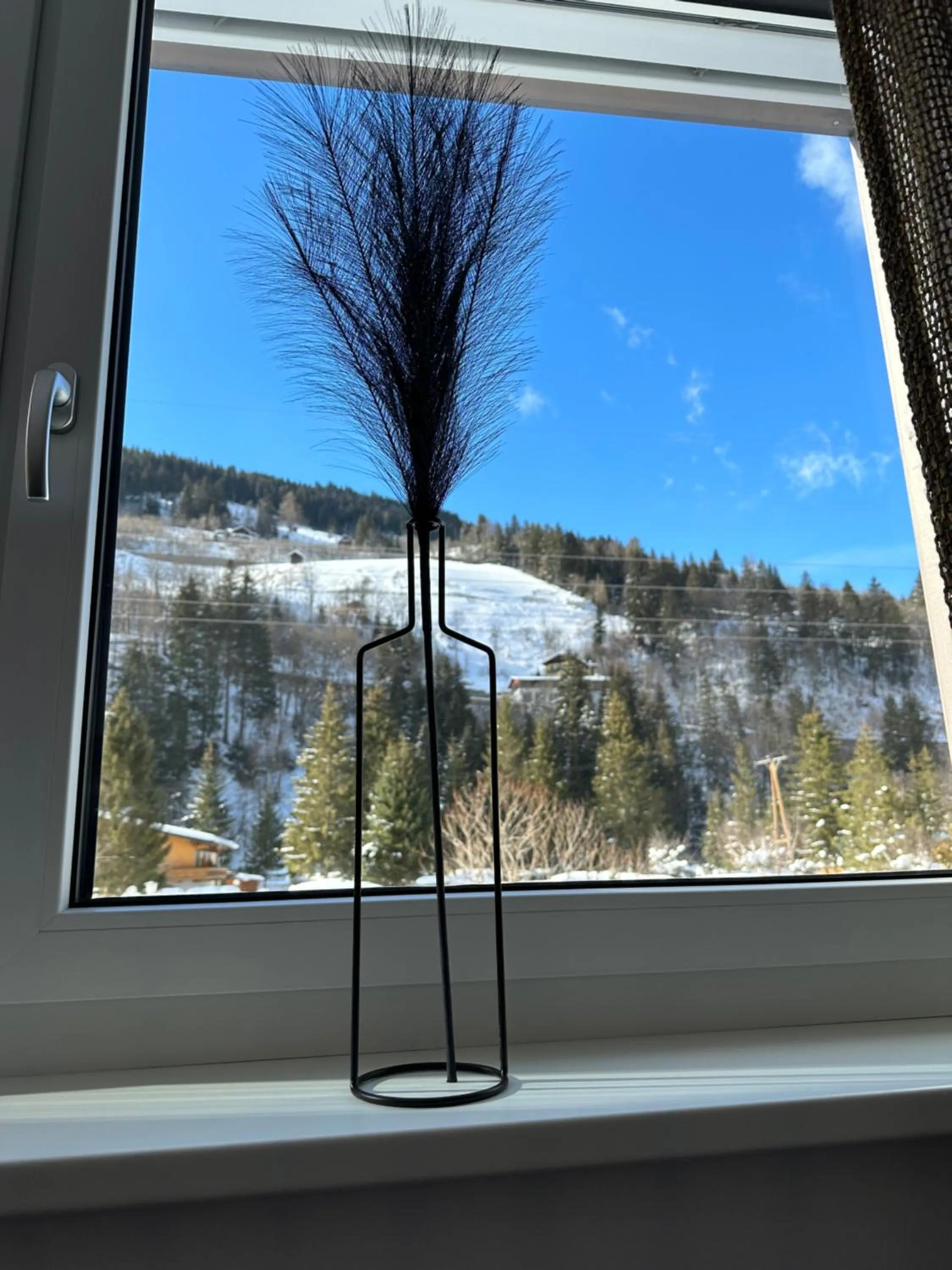 Garden in Auhof - Apartments Bad Gastein