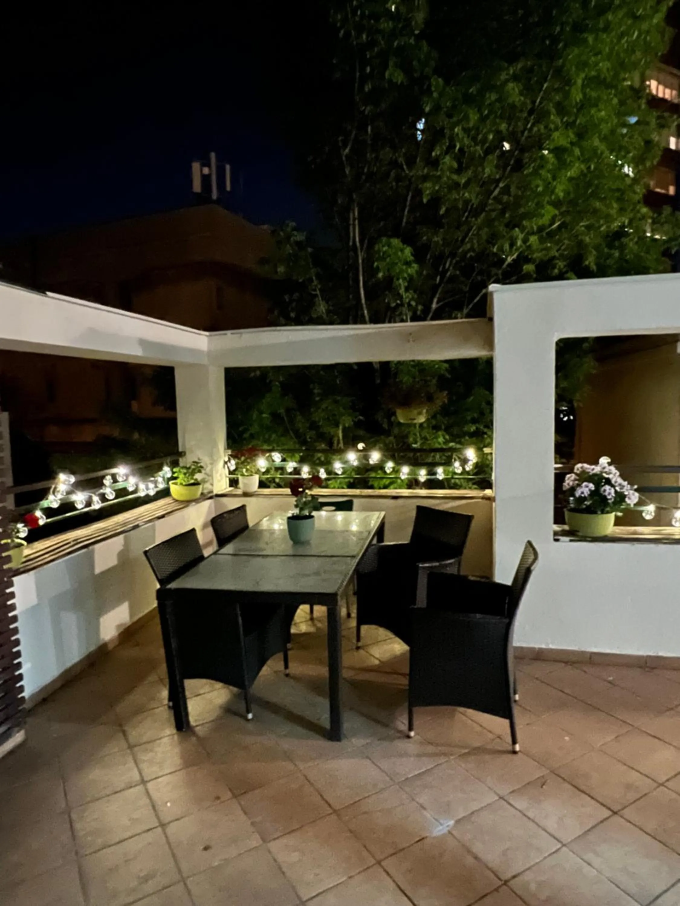 Night in Cabbage Hostel