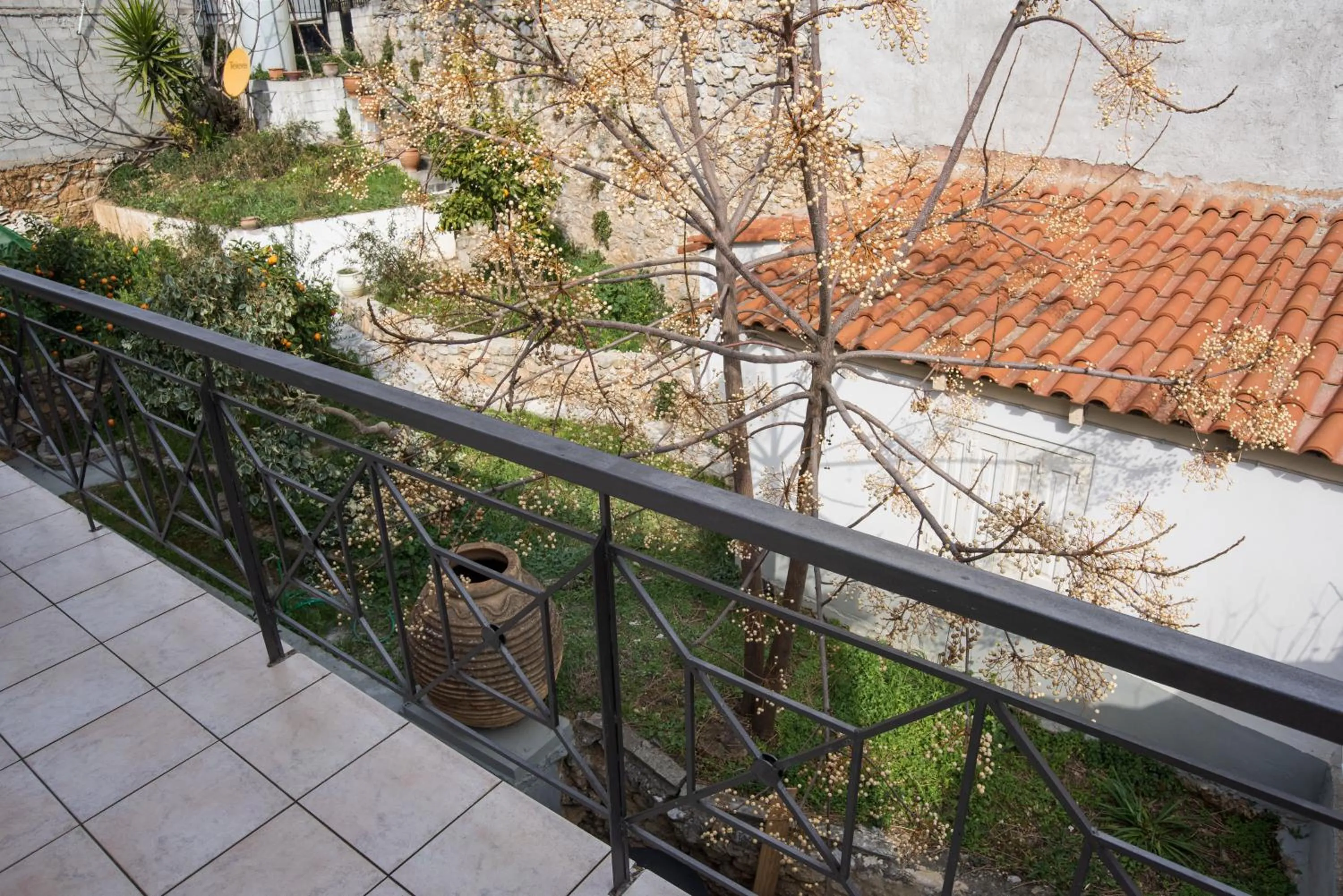 Garden in Parnassos Delphi Hotel