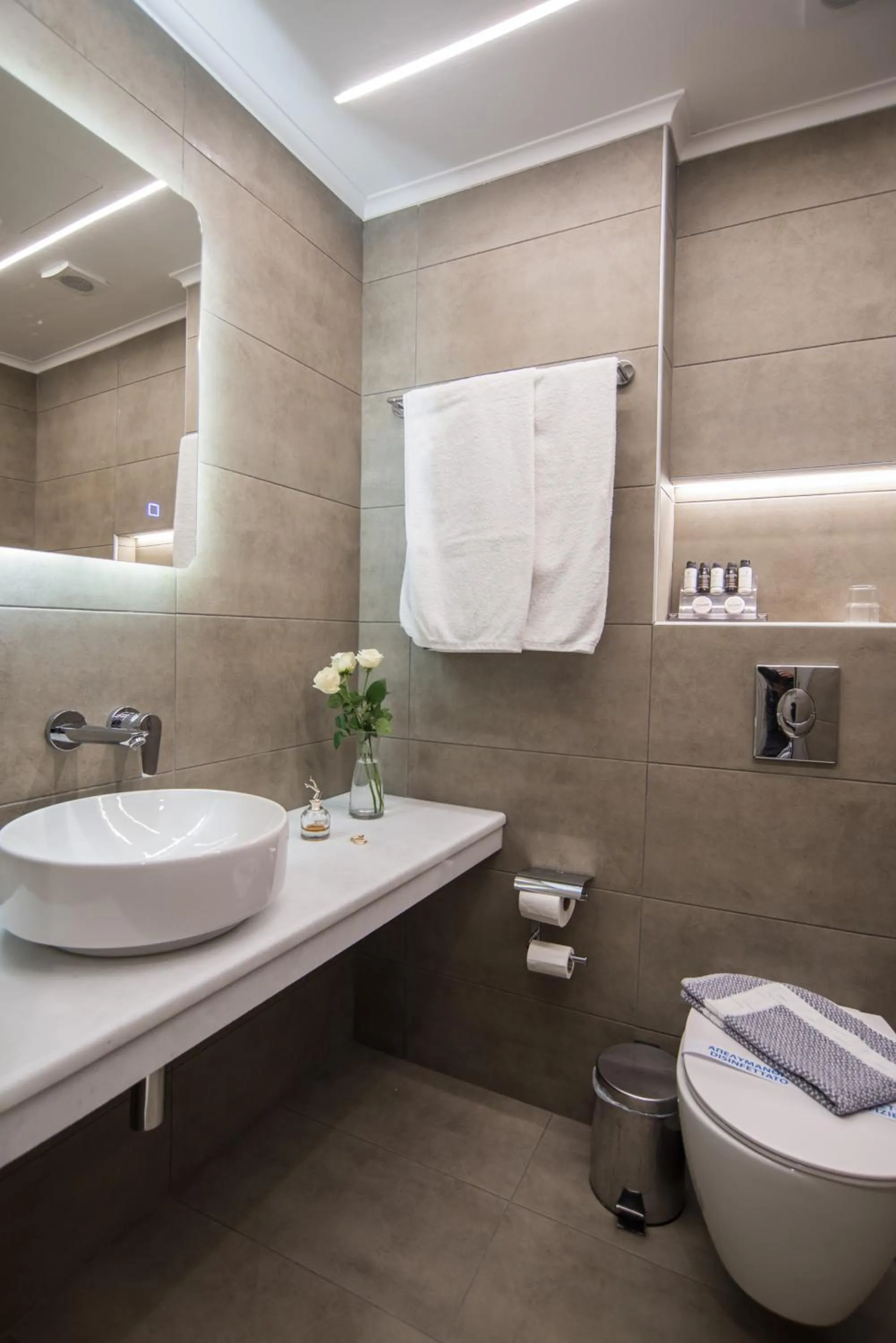 Shower in Parnassos Delphi Hotel