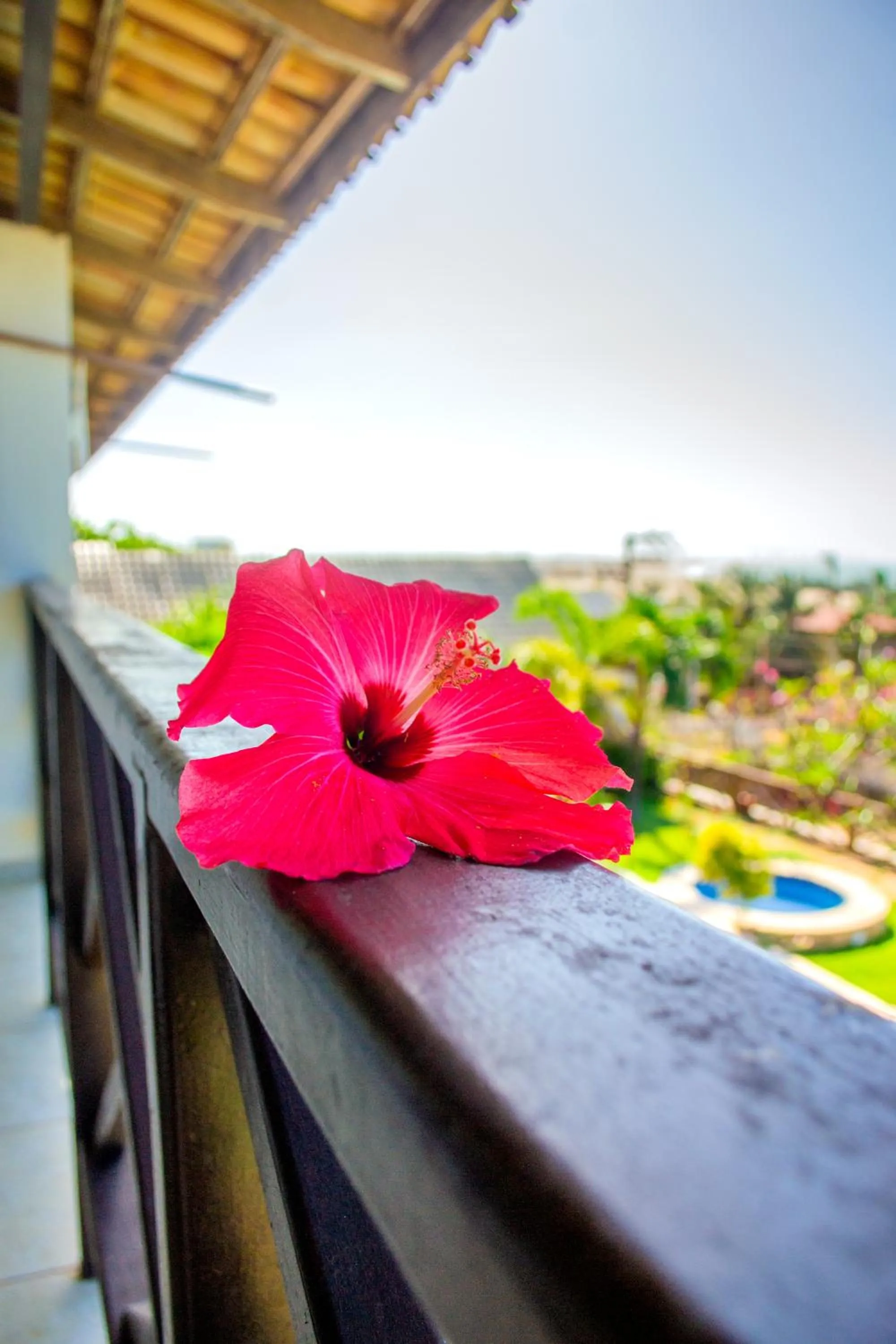 View (from property/room) in Milano Hotel Pousada Canoa Quebrada