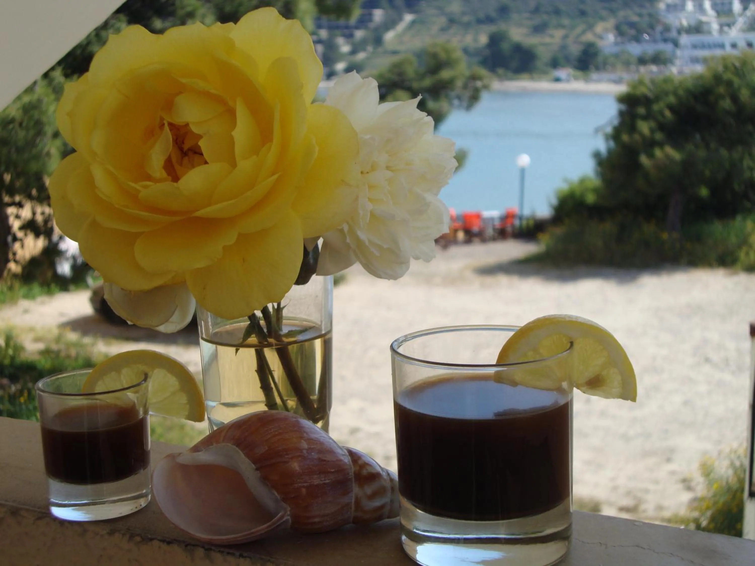 Balcony/Terrace in Rachel Hotel