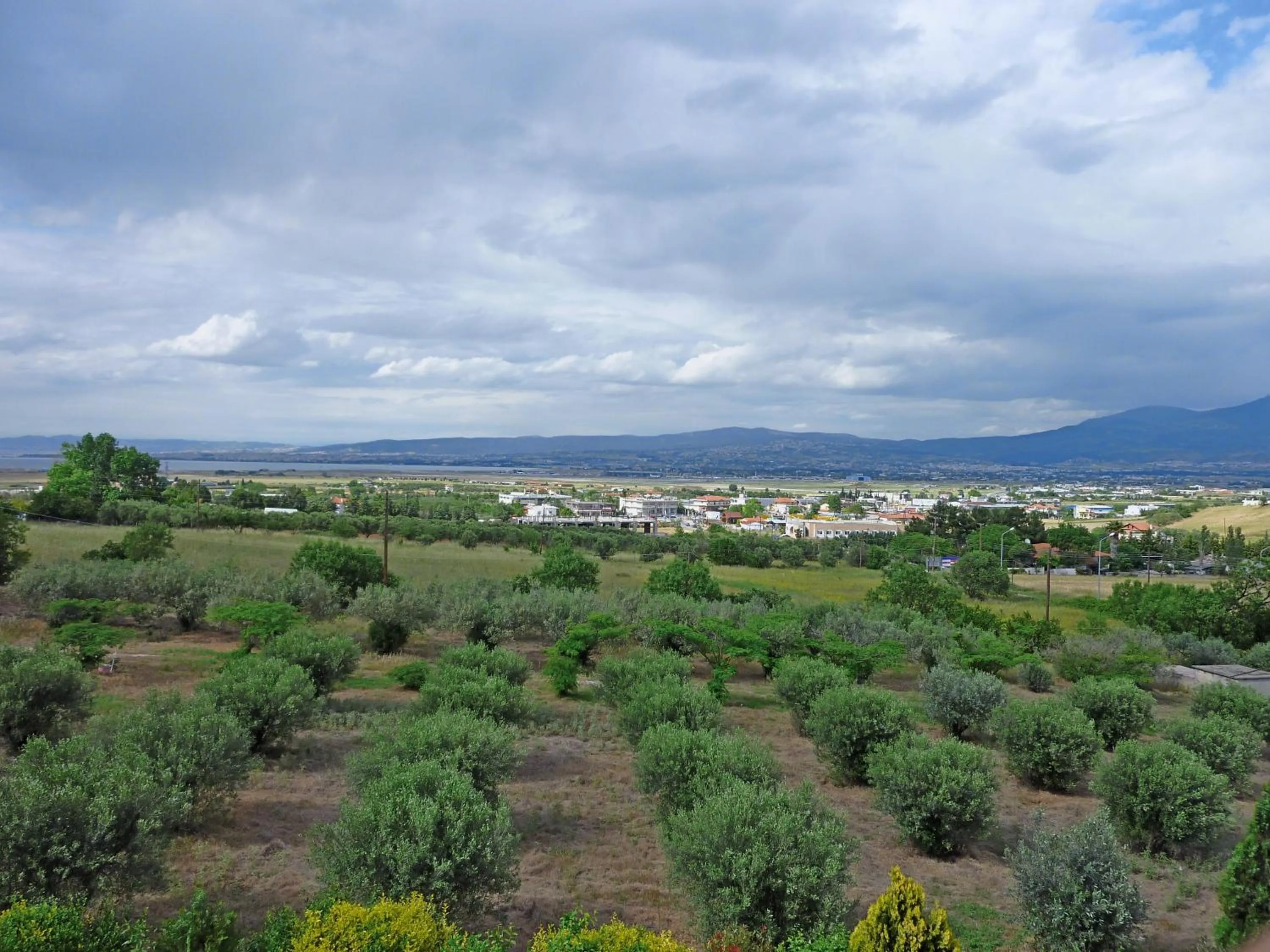 View (from property/room) in Ambassador Hotel Thessaloniki