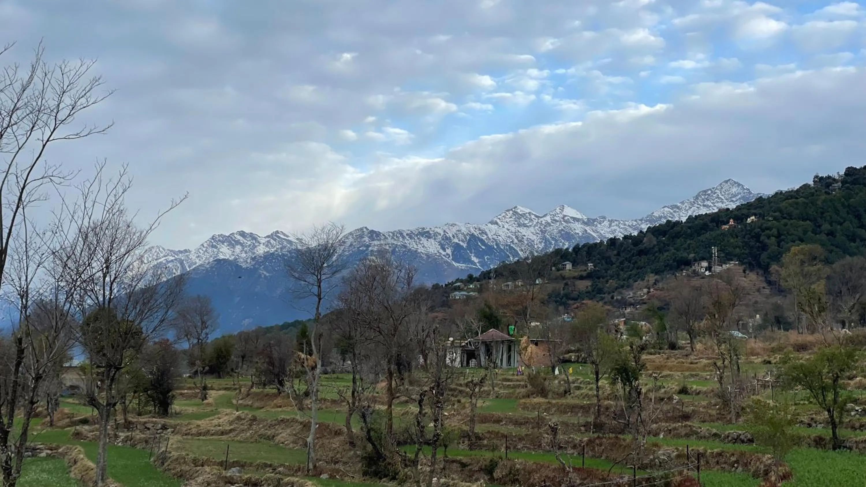 Spring in Flashpackers Bir - Rooms & Dorms