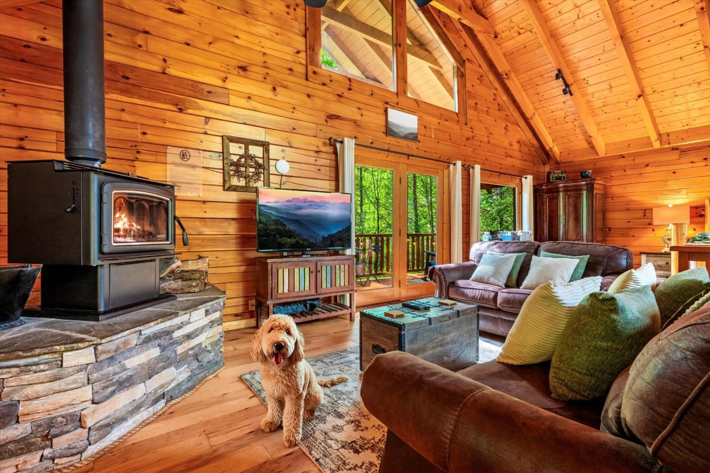 TV and multimedia in Love Me Tender Studio Cabin