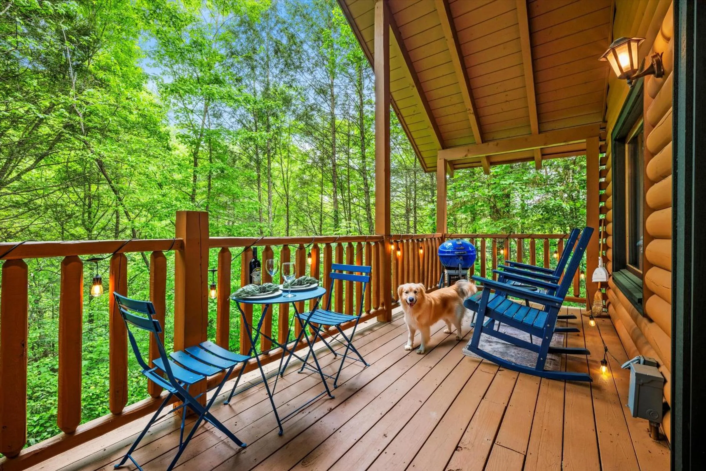 Patio in Love Me Tender Studio Cabin