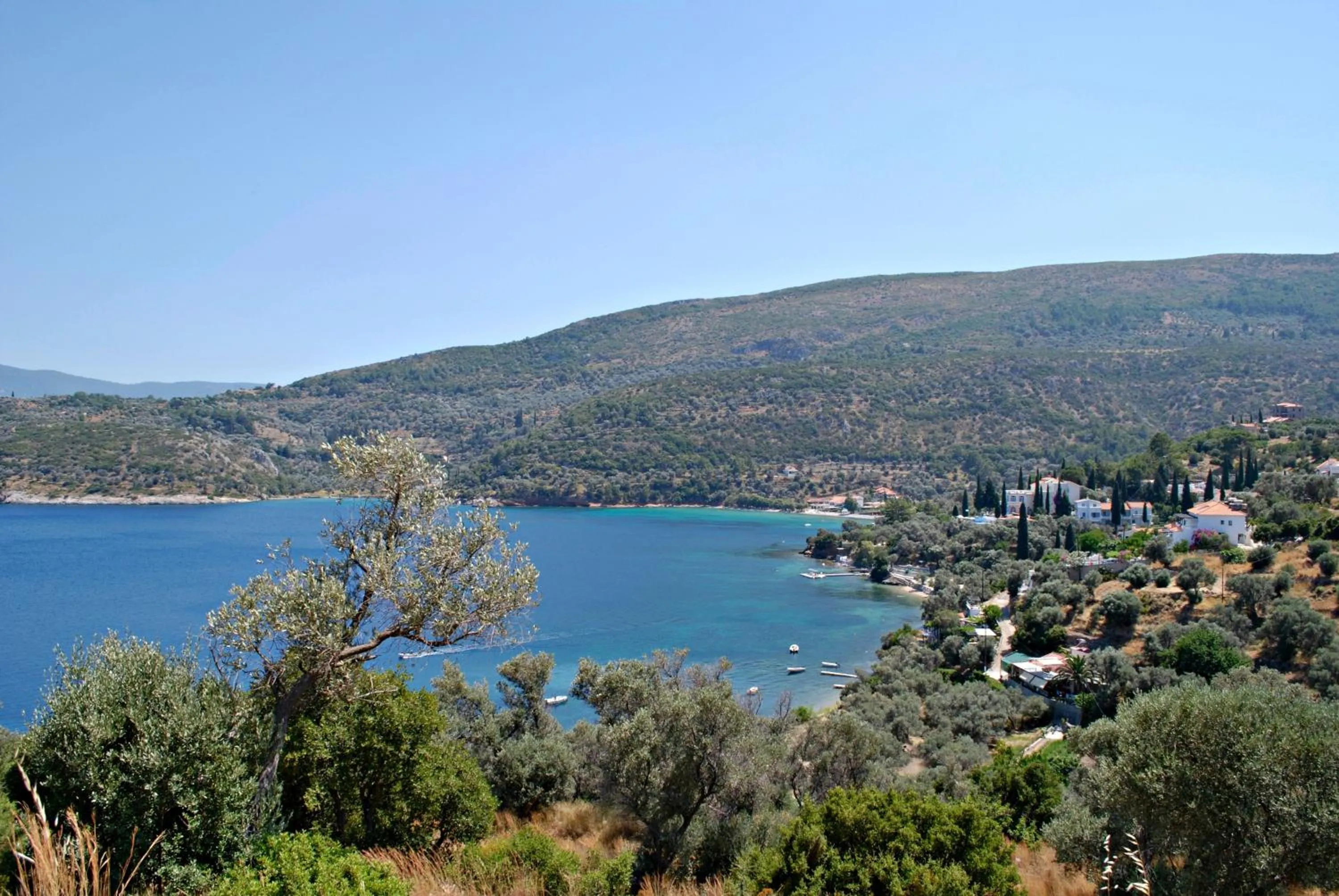 View (from property/room) in Kerveli Village Hotel