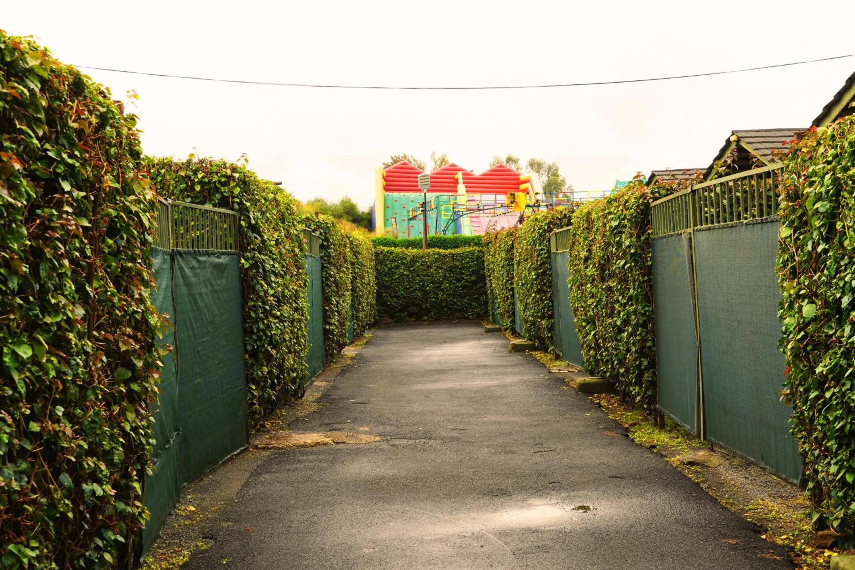 Stedmak Gardens Karen