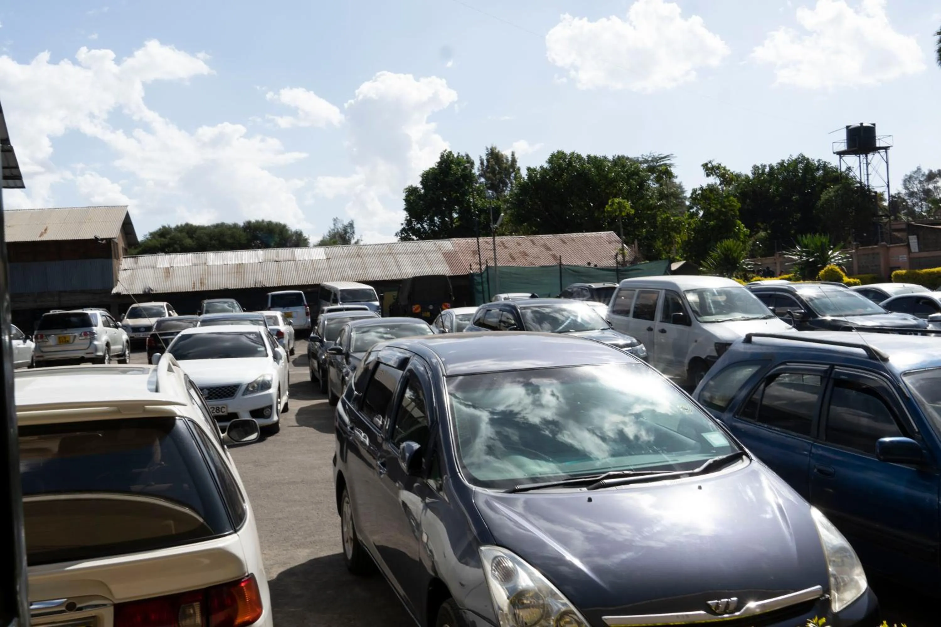 Stedmak Gardens Karen