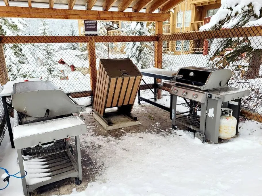 BBQ facilities in Panorama Springs Lodge