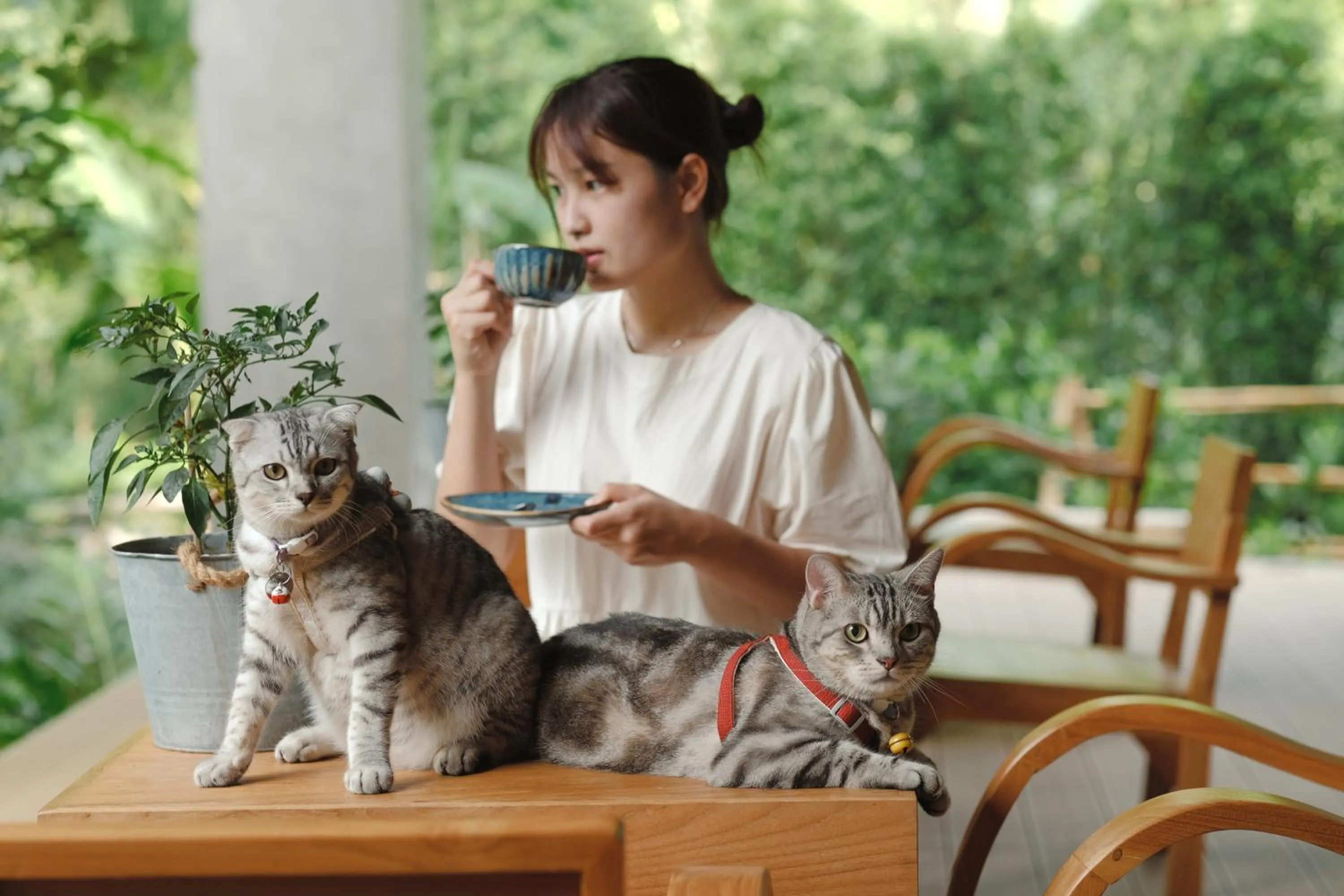 pet friendly in Proud Phu Fah Muang Chiang Mai