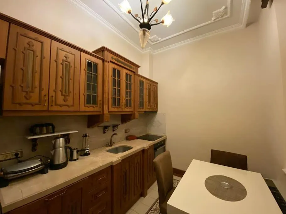 Kitchen or kitchenette in Aslan Residence