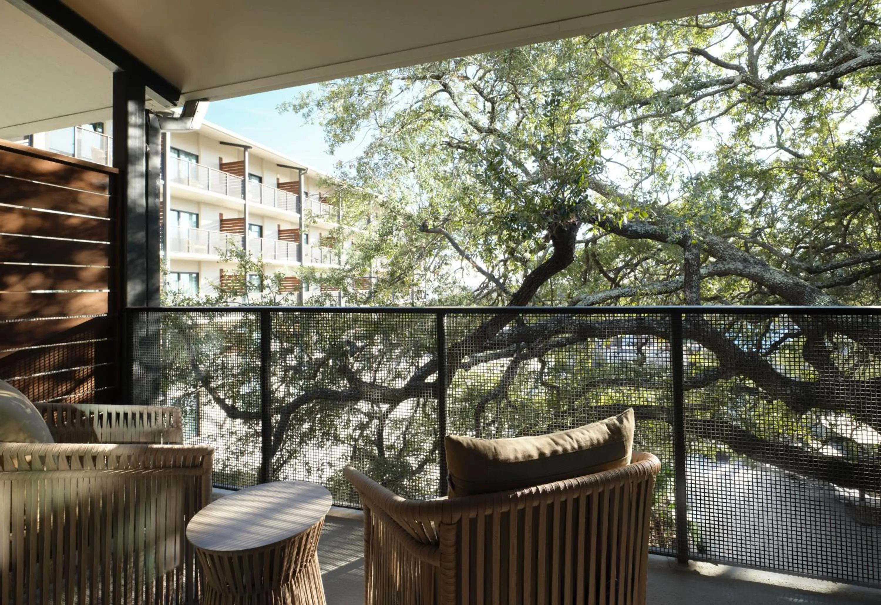 Garden view in Plaza San Antonio Hotel & Spa, Autograph Collection