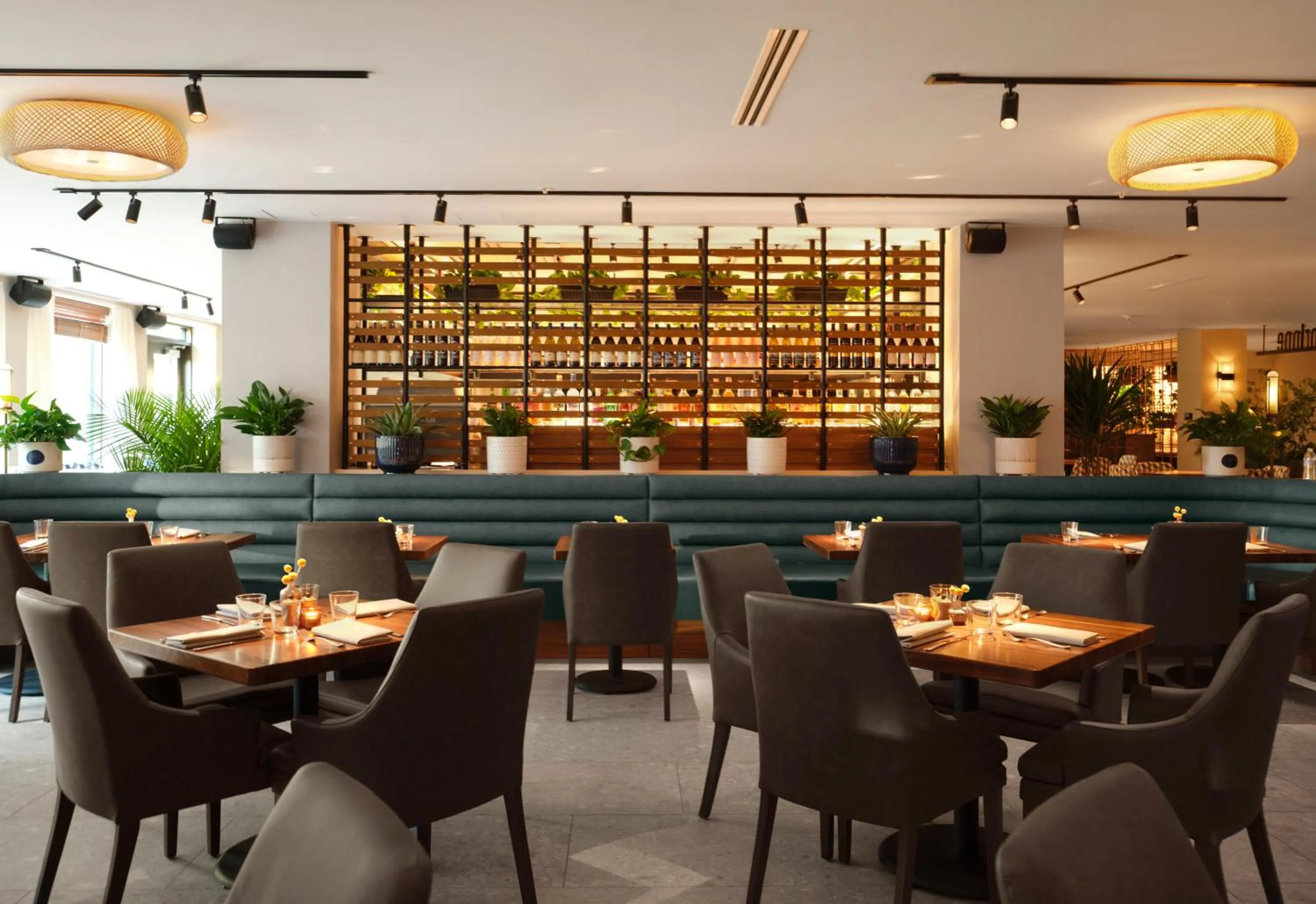 Breakfast in Plaza San Antonio Hotel & Spa, Autograph Collection