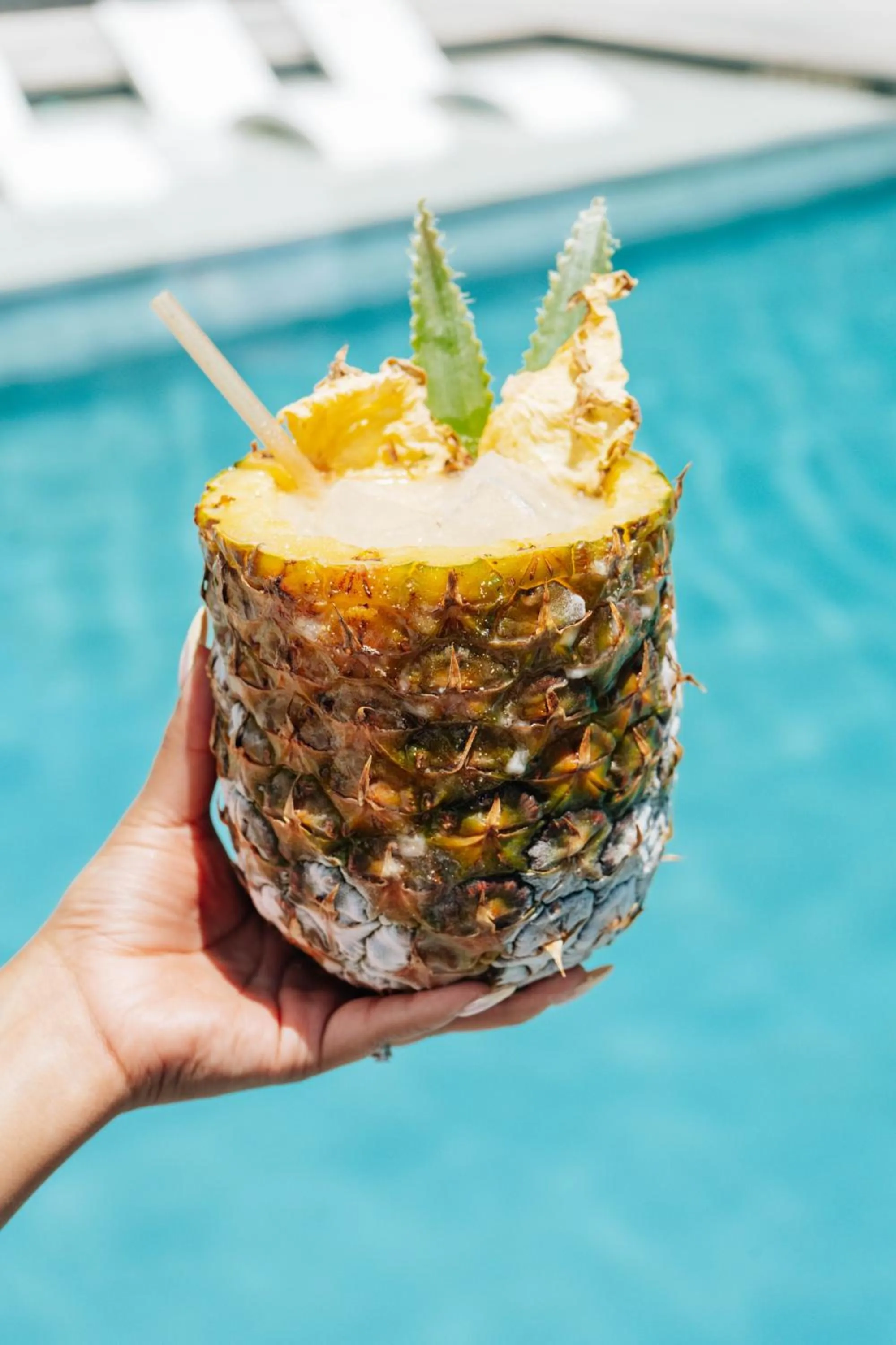 Food and drinks in Plaza San Antonio Hotel & Spa, Autograph Collection