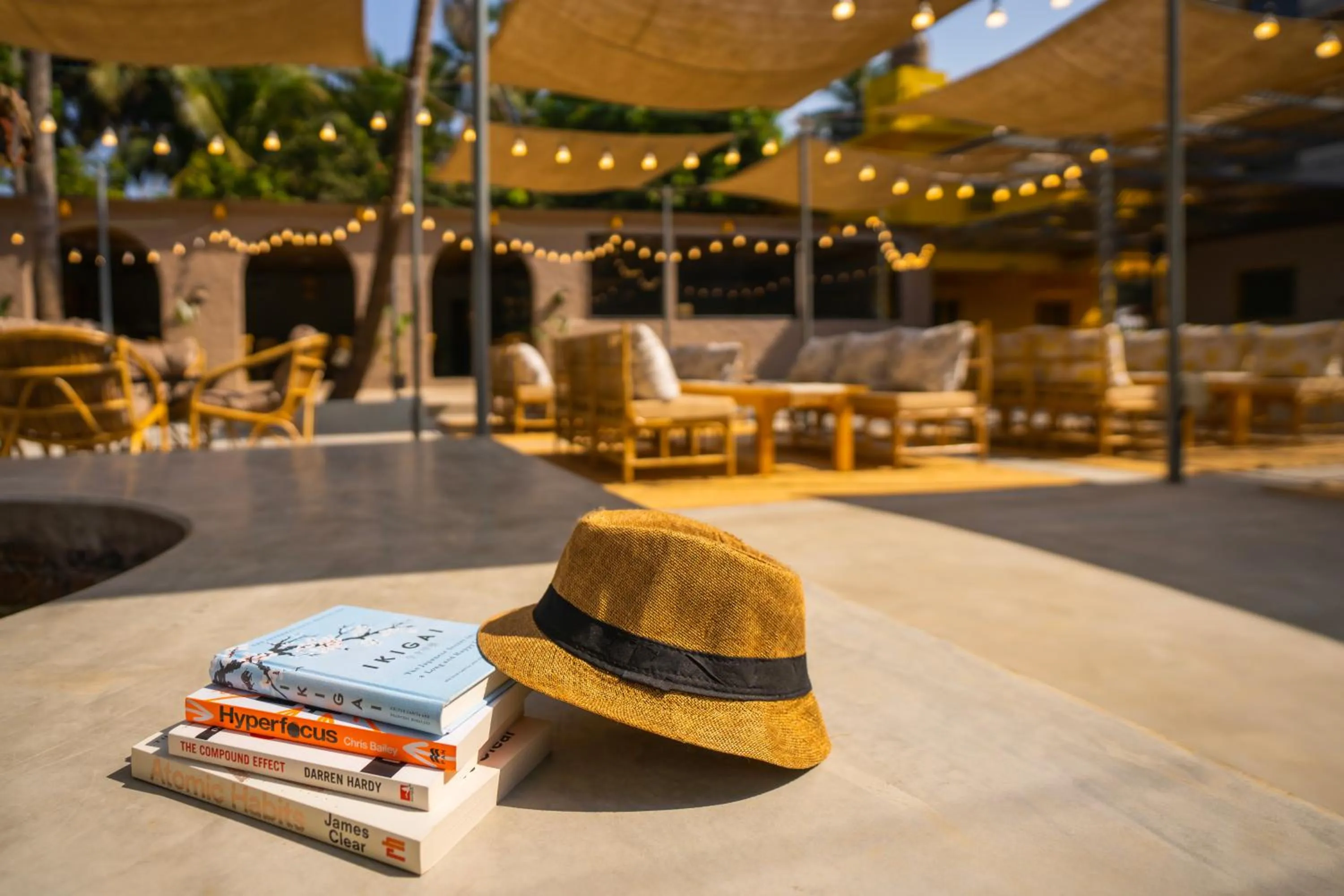 Day in Zostel Goa, Morjim