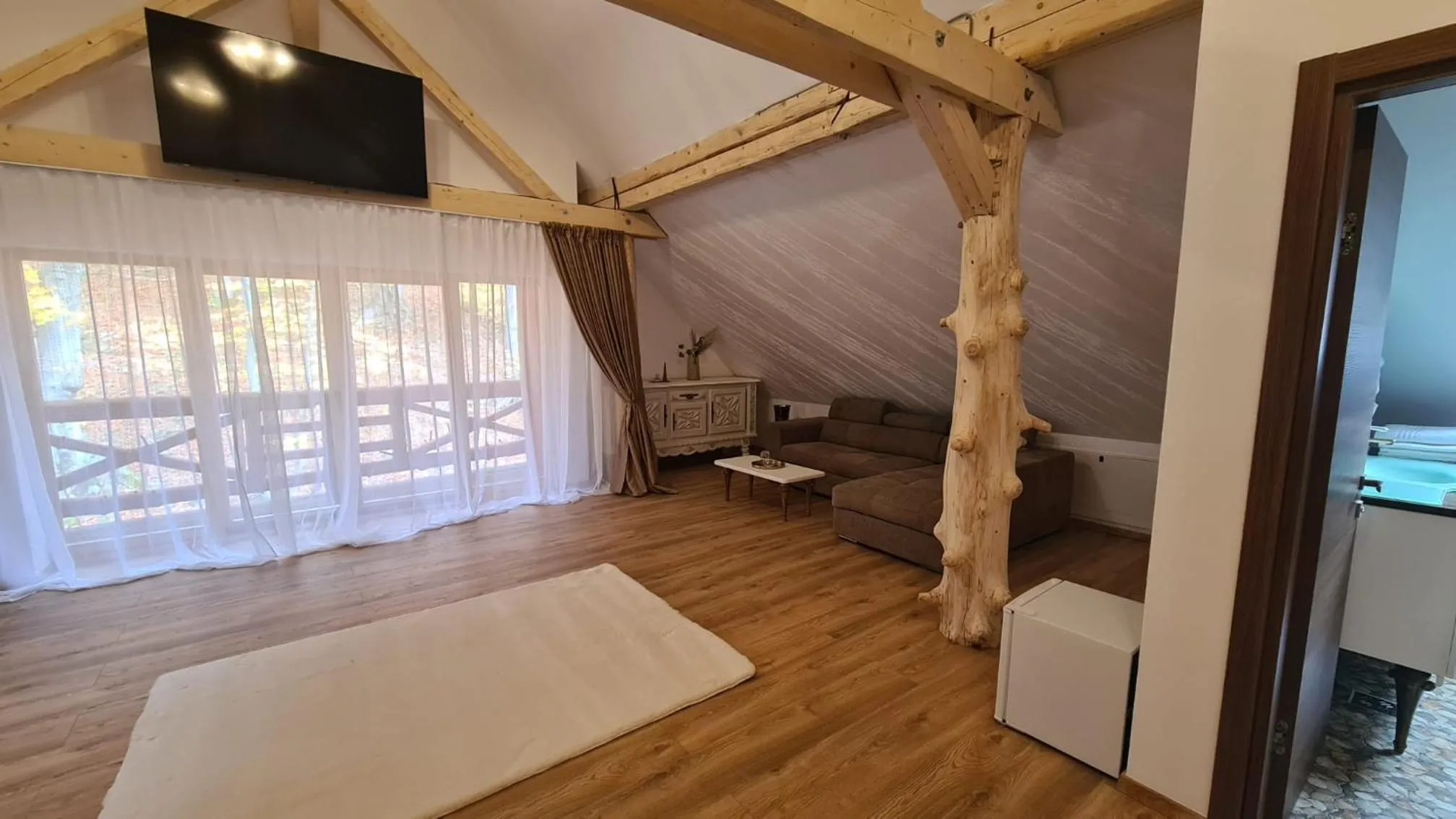 TV and multimedia, Bed in Conacul Radacinilor