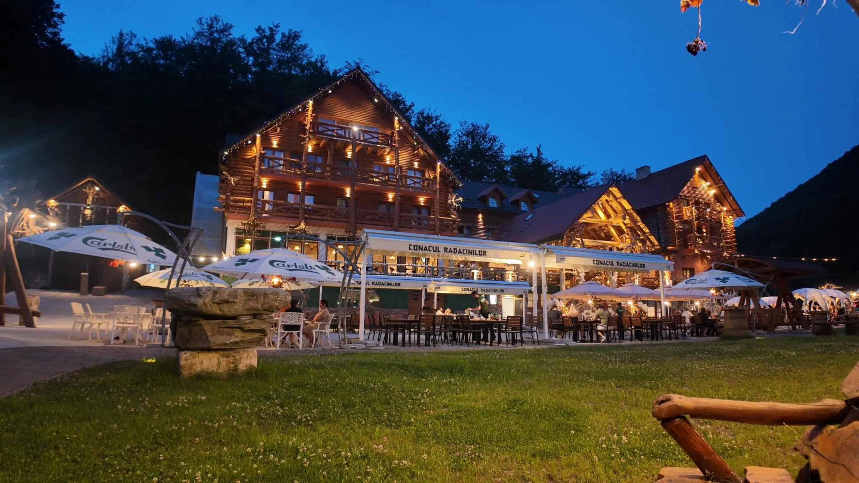 Property building in Conacul Radacinilor