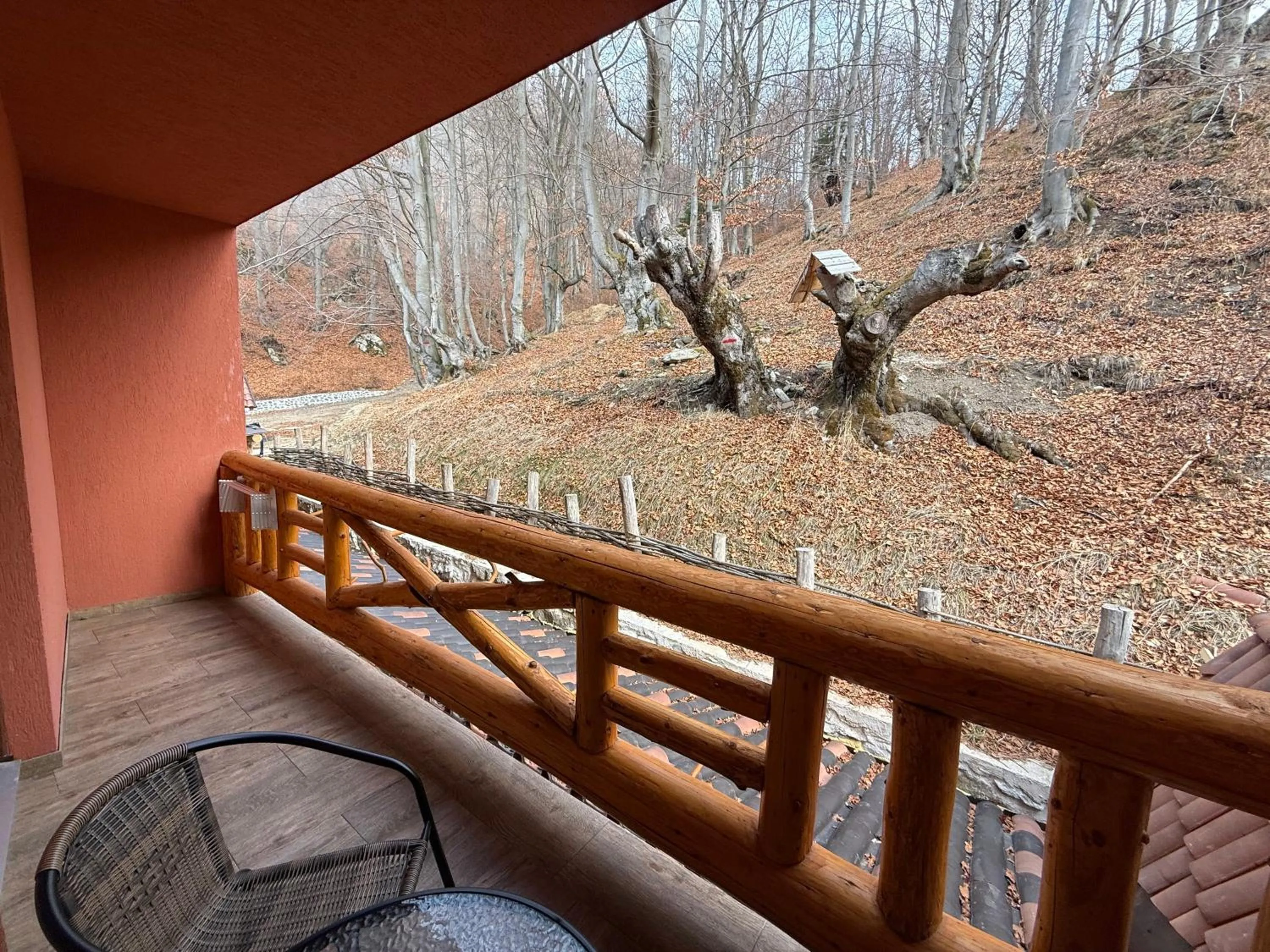 Day in Conacul Radacinilor