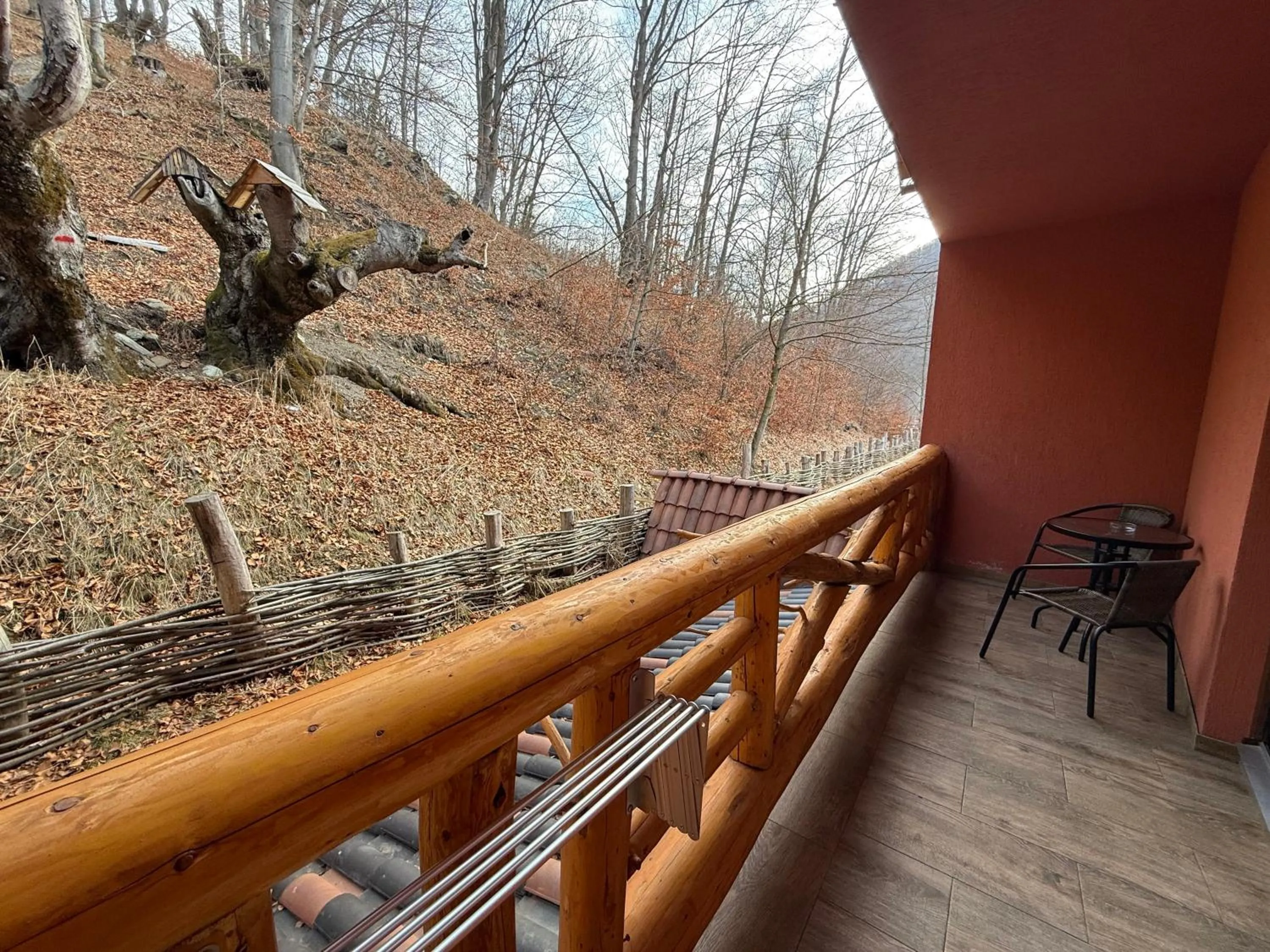 Day in Conacul Radacinilor