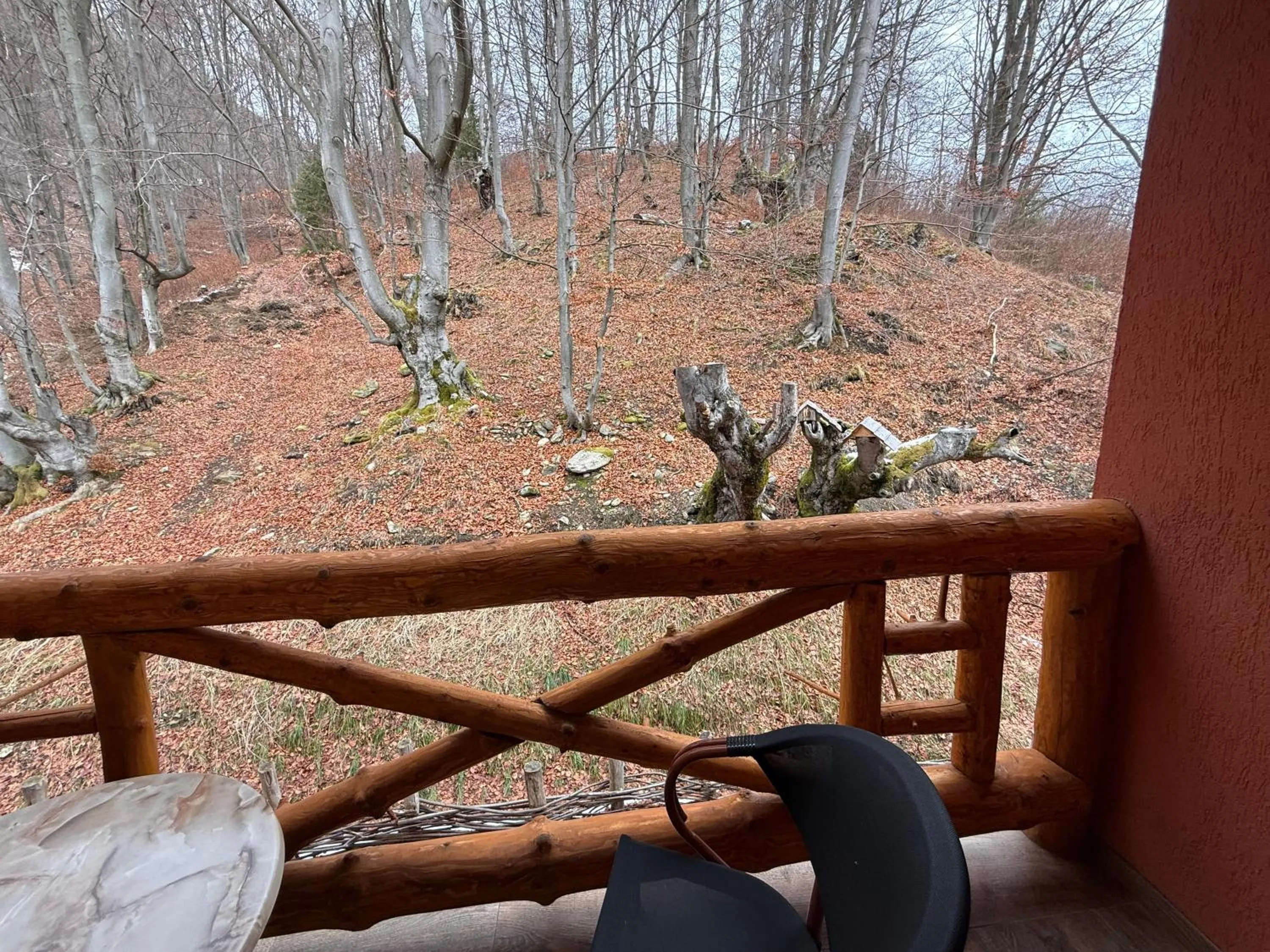 Day in Conacul Radacinilor