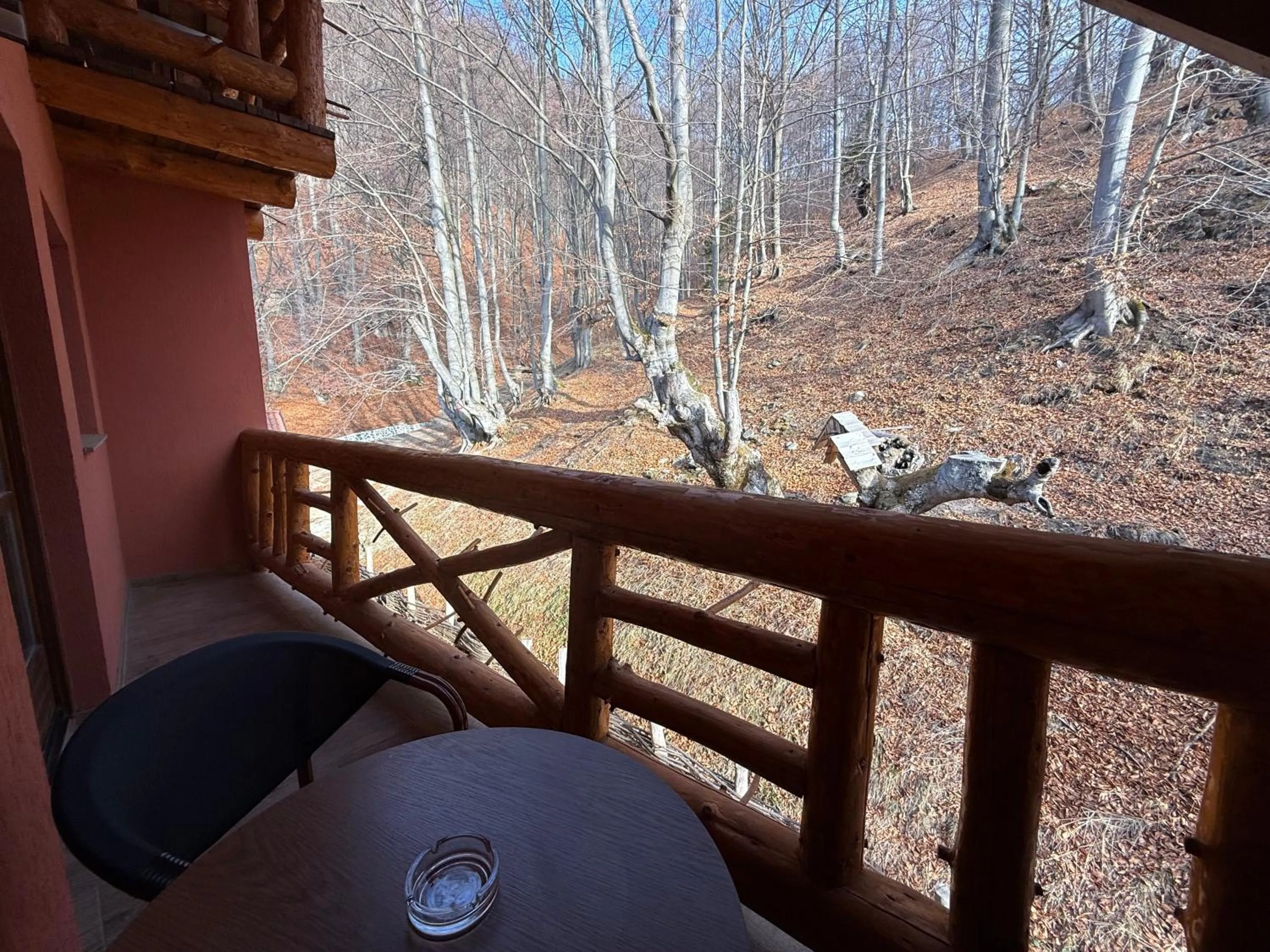 Day in Conacul Radacinilor