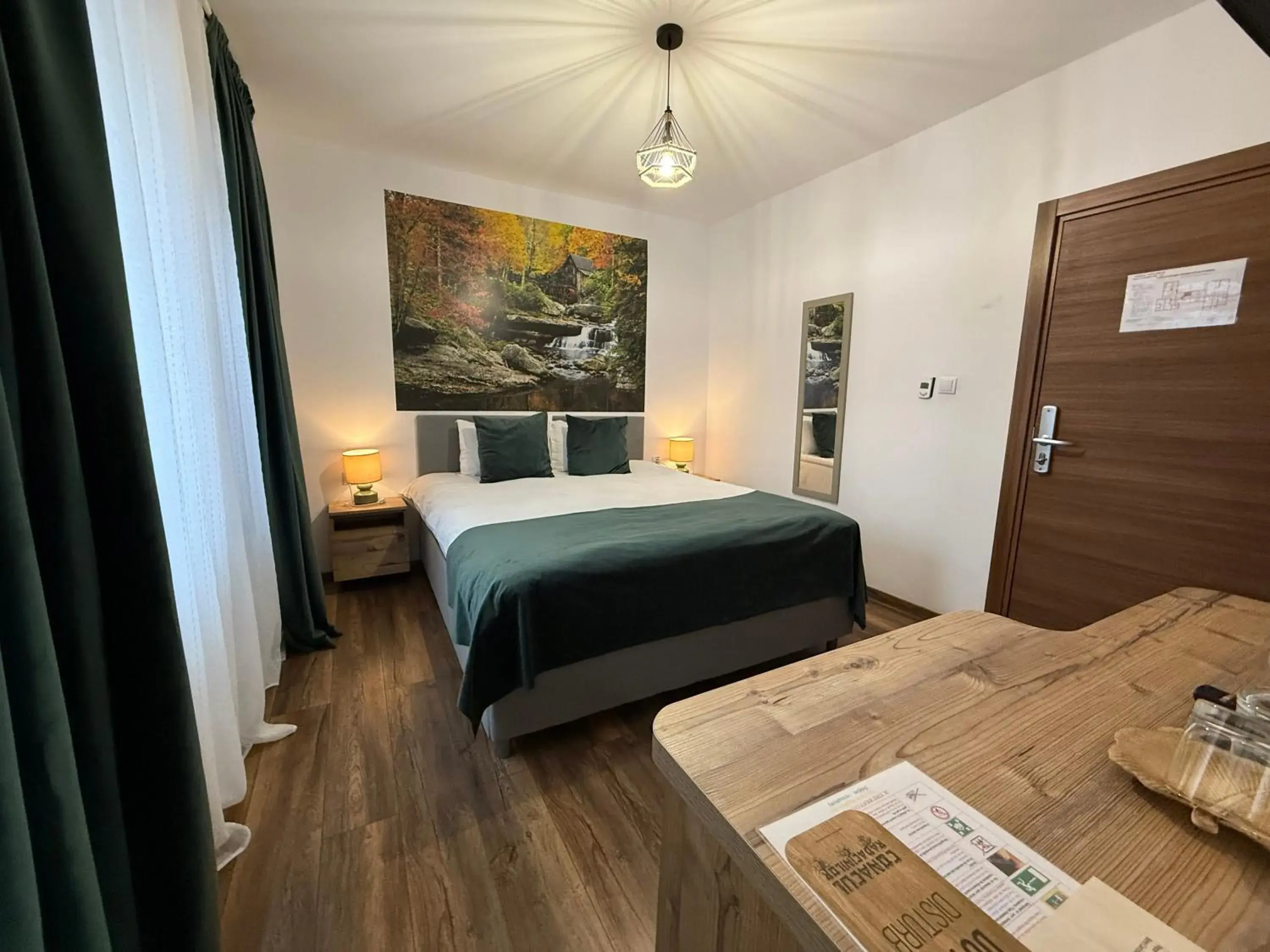 Double Room in Conacul Radacinilor Double Room in Conacul Radacinilor