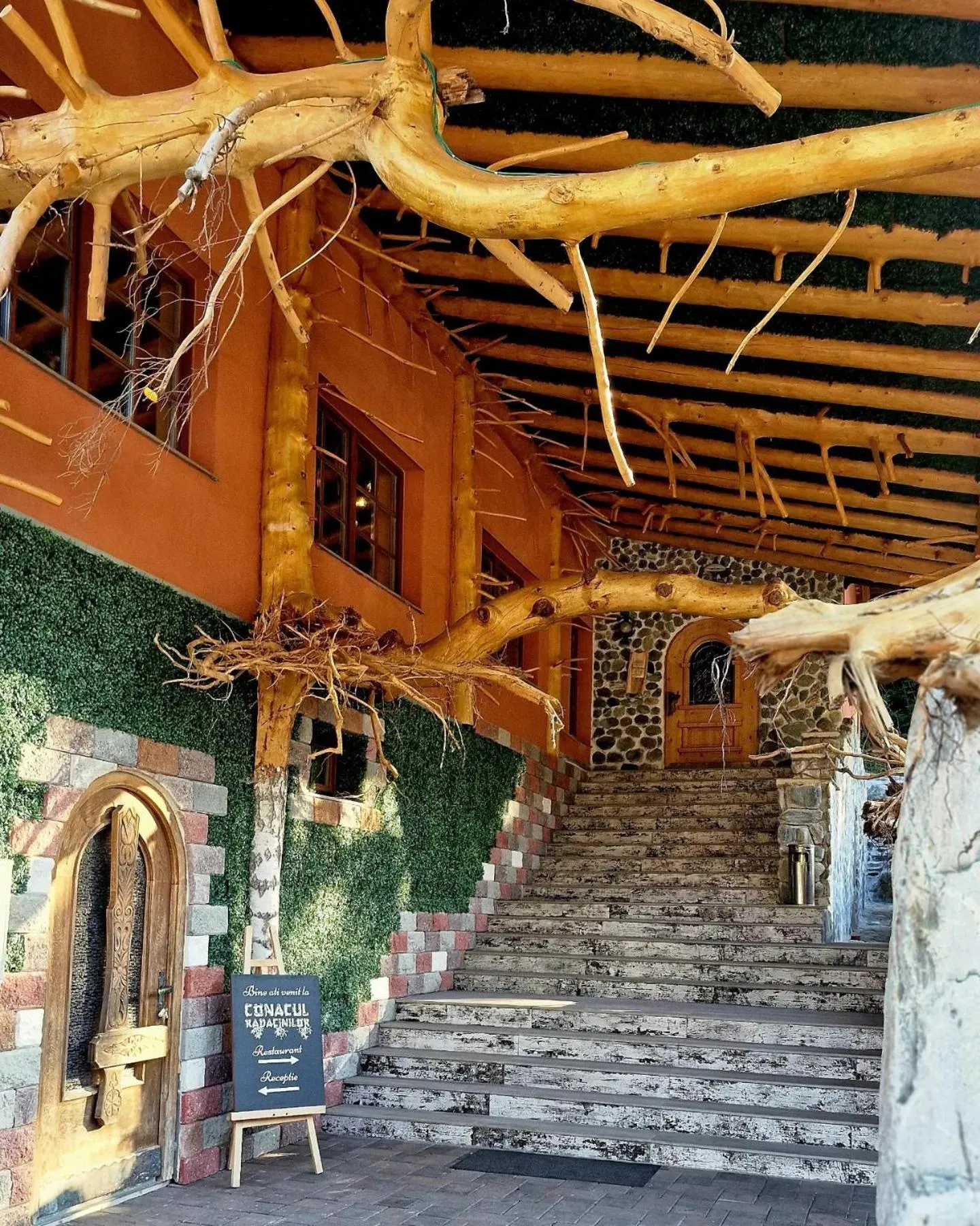 Day in Conacul Radacinilor