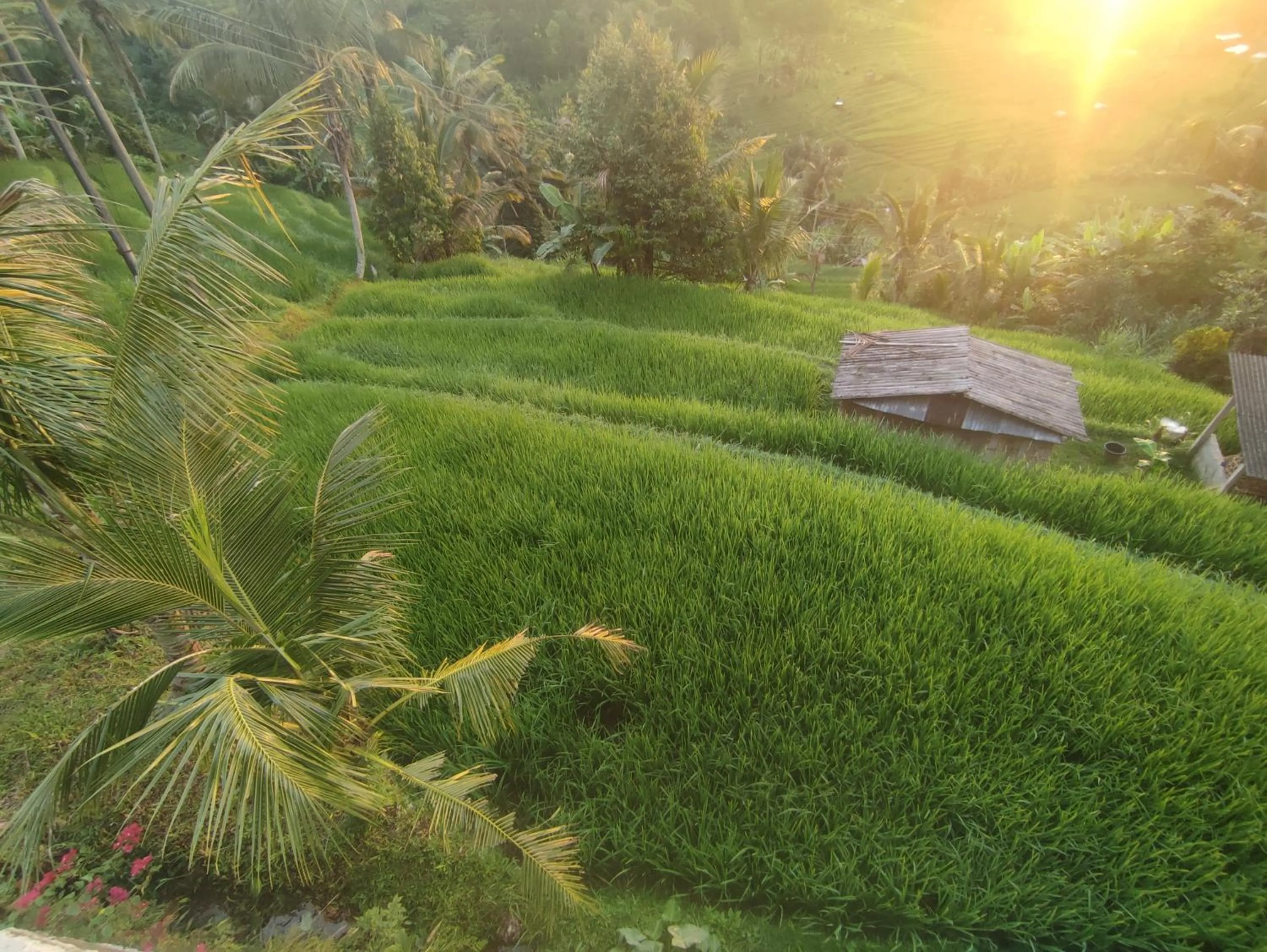 View (from property/room) in Gunza Bed and Breakfast