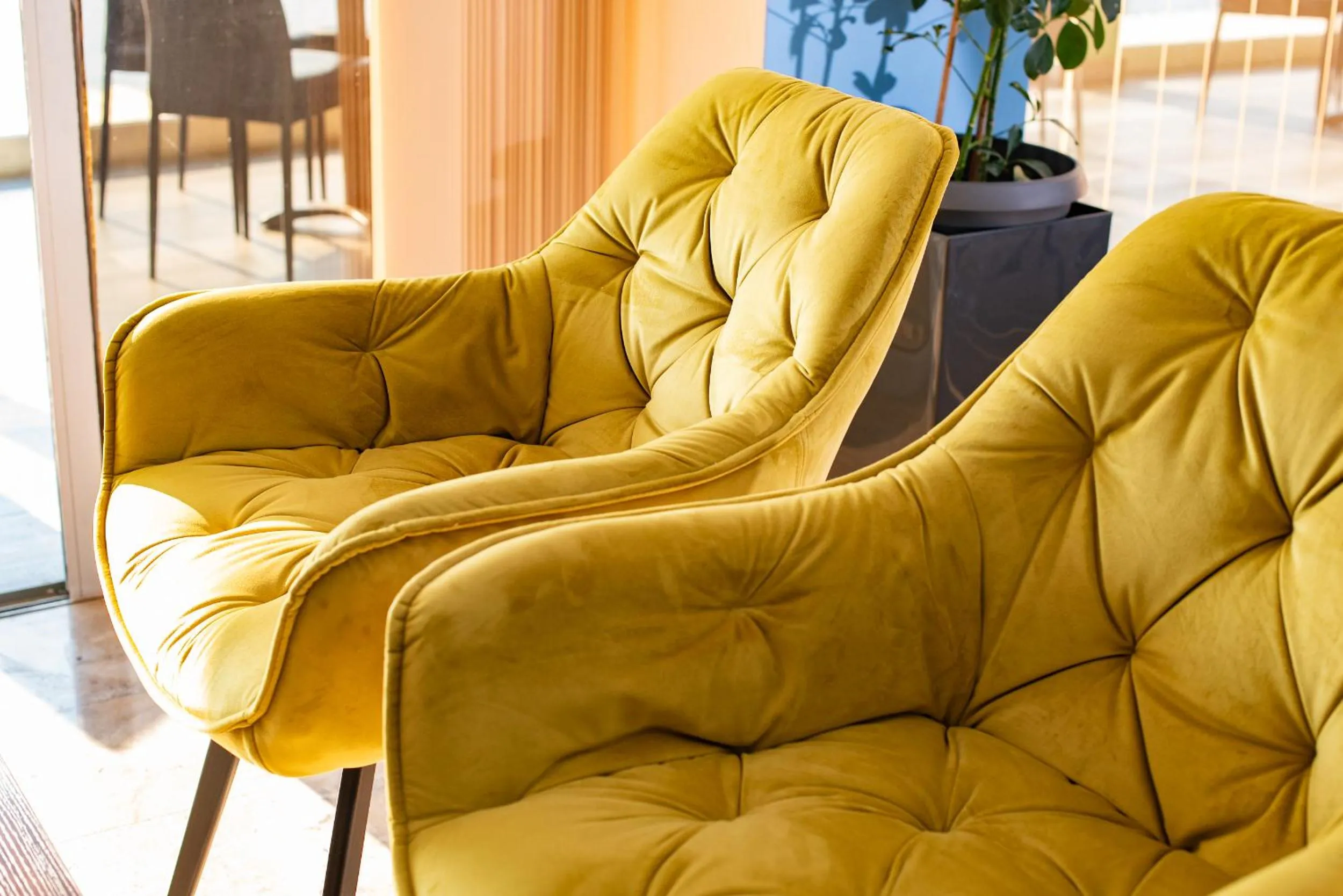 Living room in Alyssium