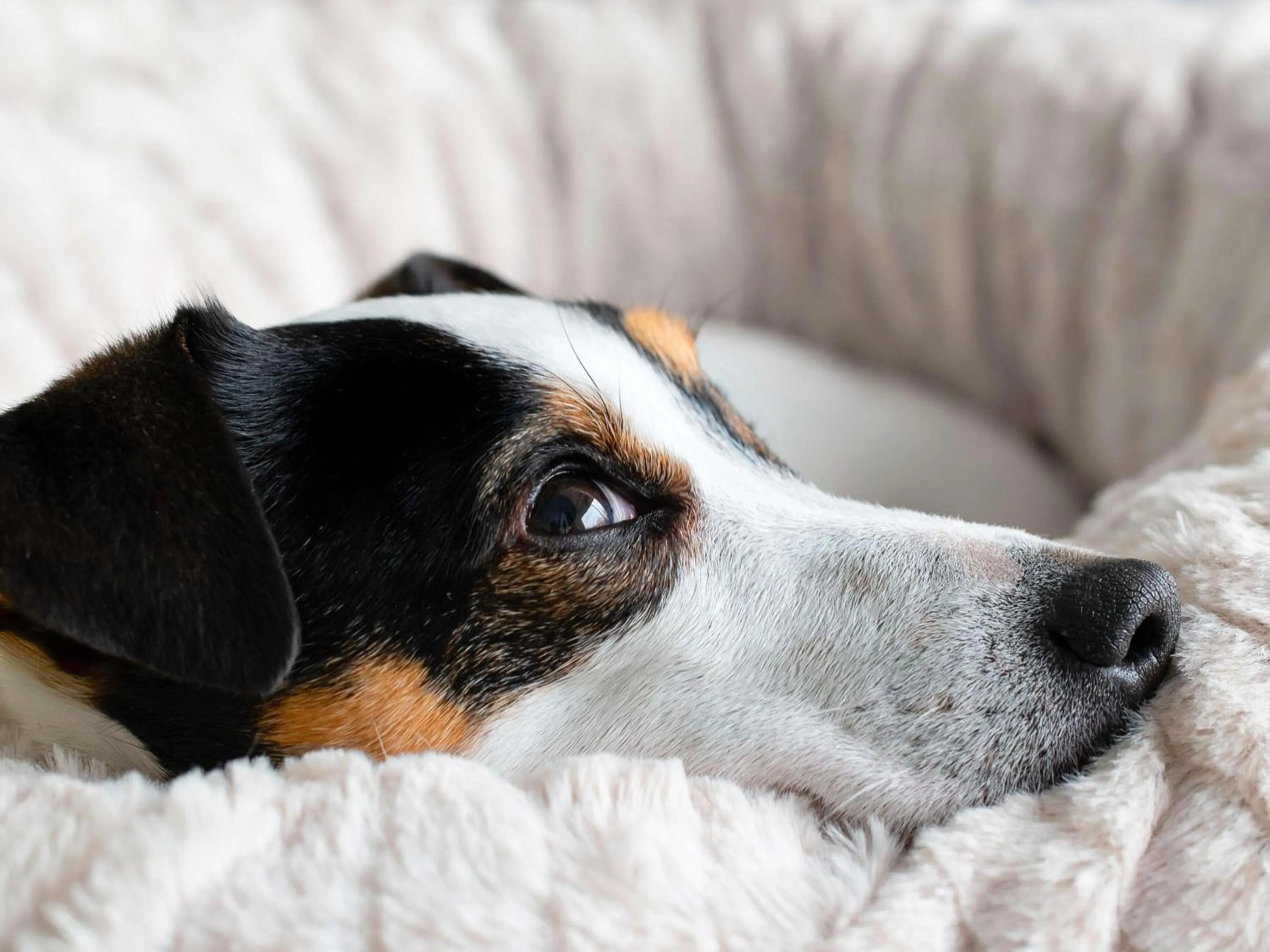 Other in ibis budget Tours Sud