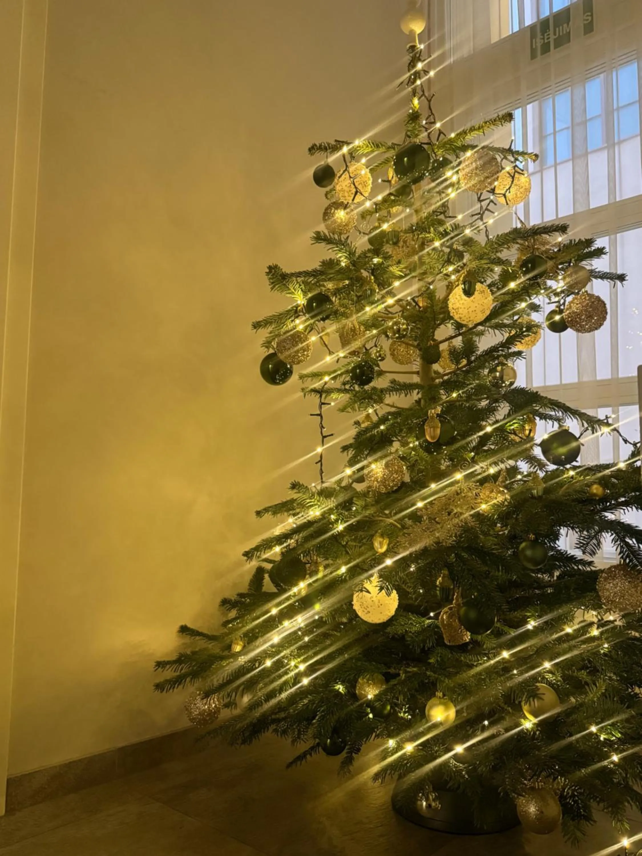 Swimming pool in GRAND CROWN