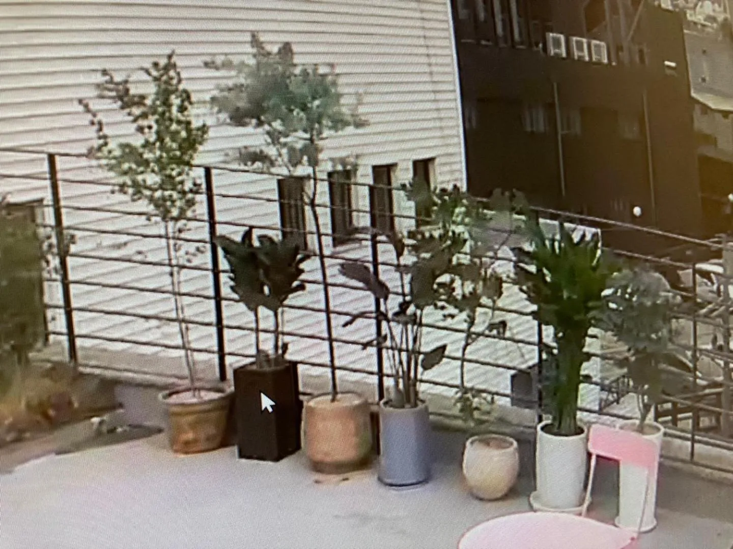 Garden in Hotel Less Seoul