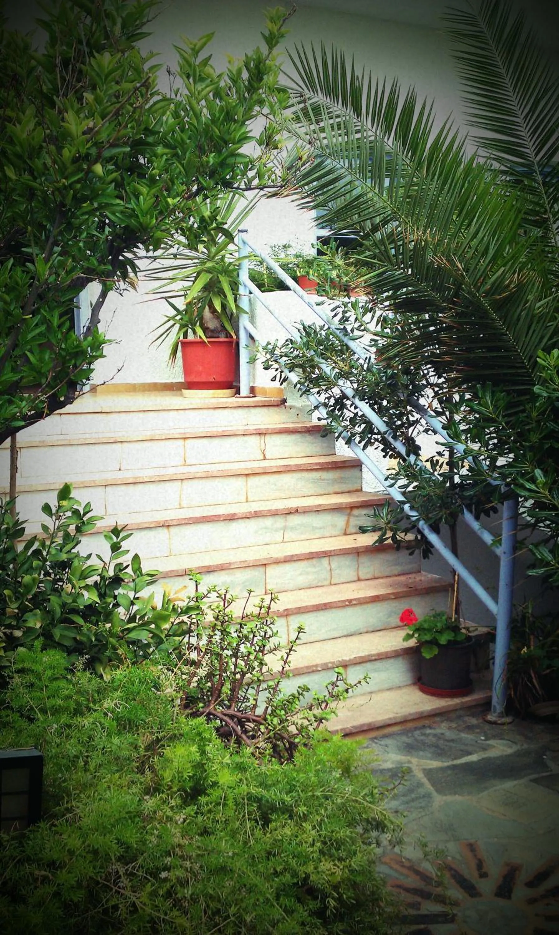 Garden in Neon Hotel