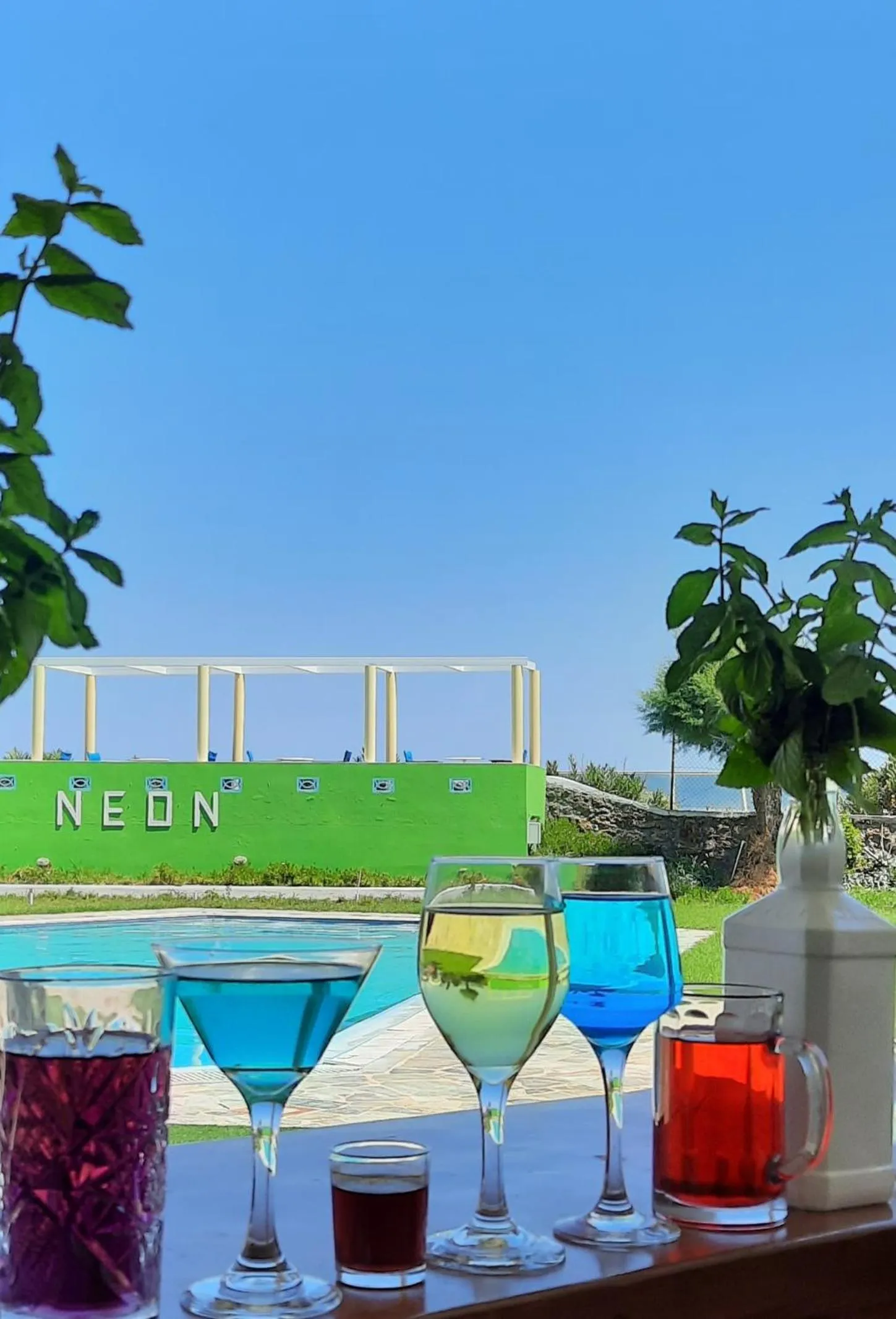 Swimming pool in Neon Hotel