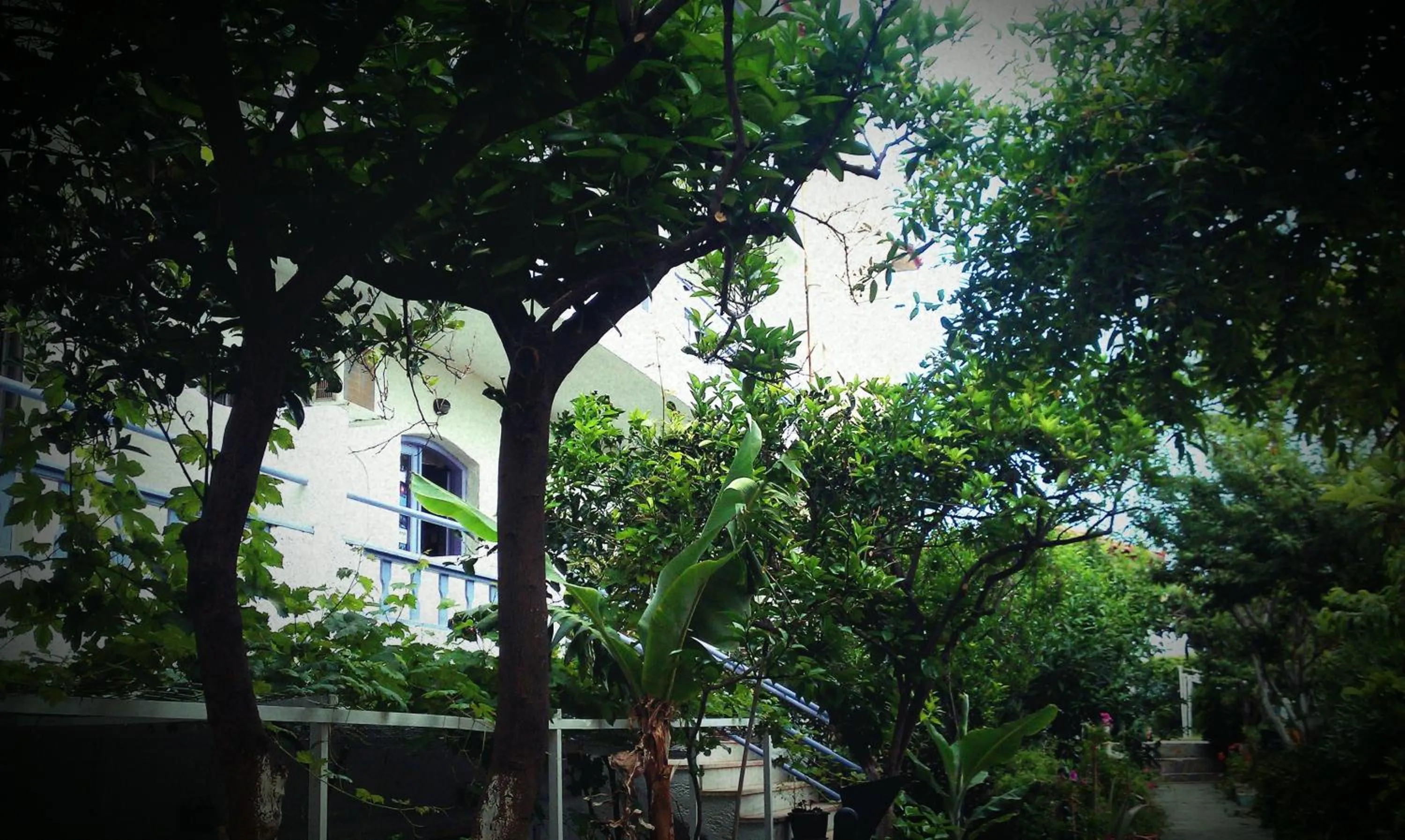 Garden in Neon Hotel