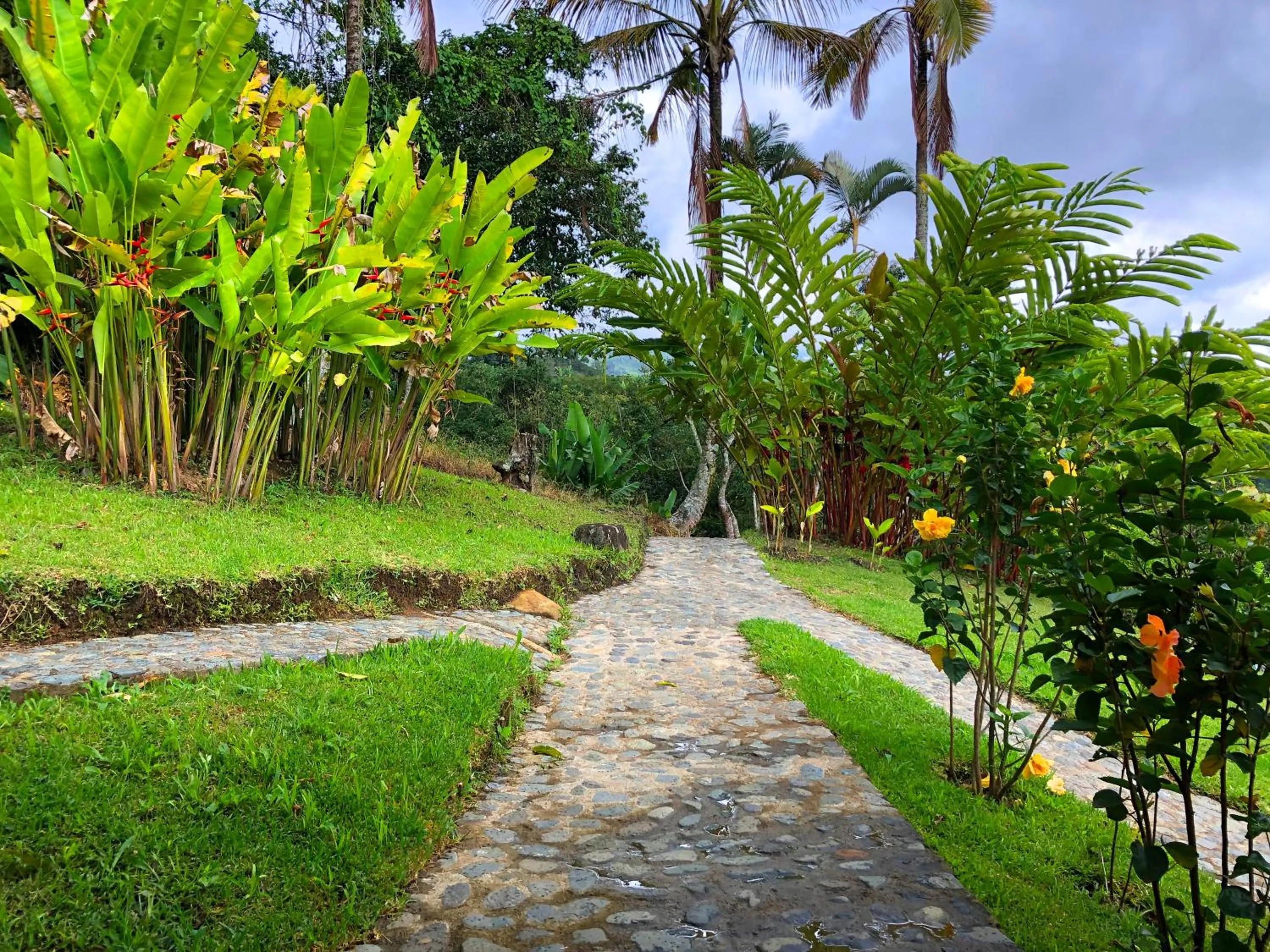 Natural landscape in Hotel Hacienda San Isidro