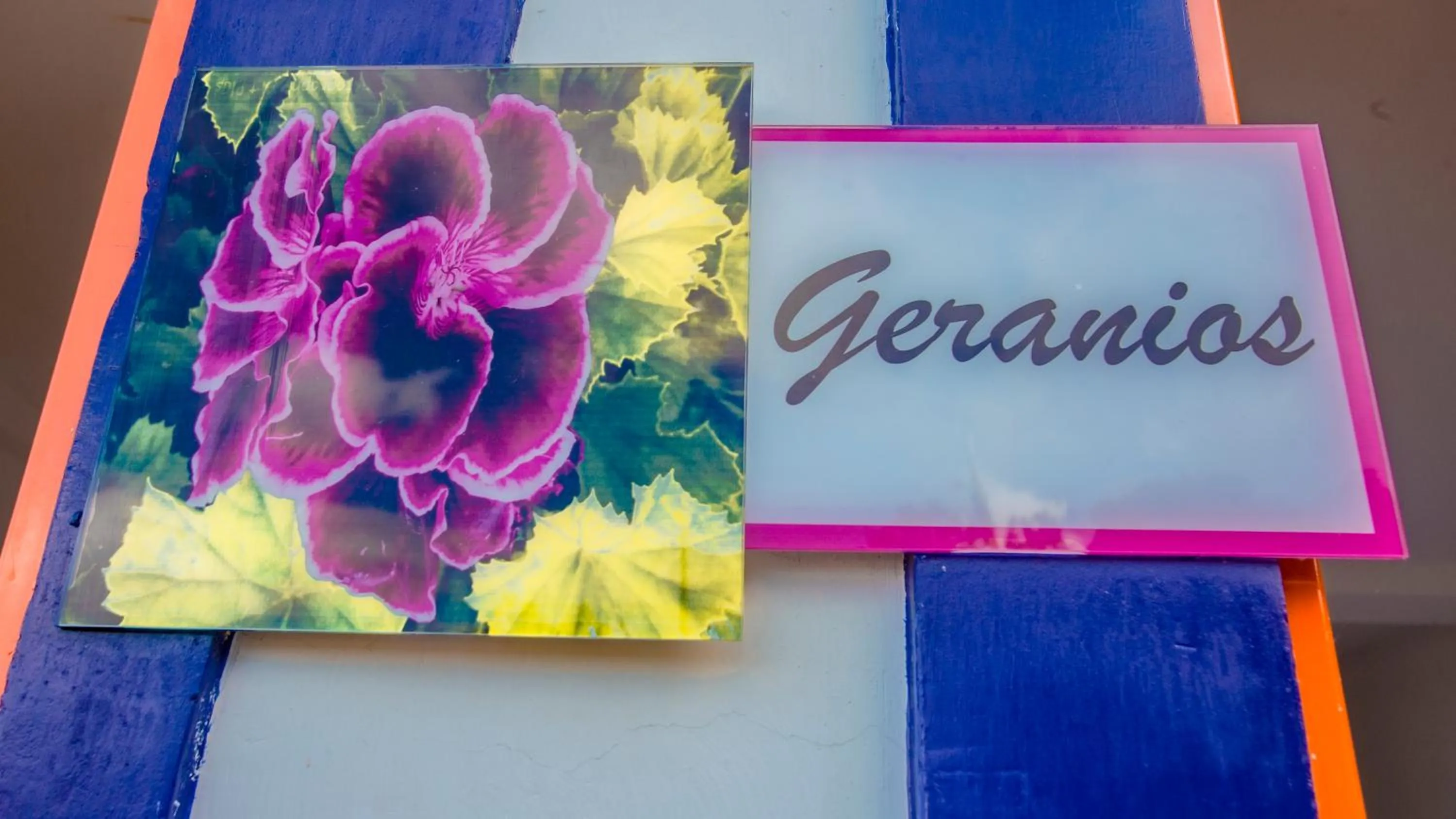 Spring in Hotel Hacienda San Isidro