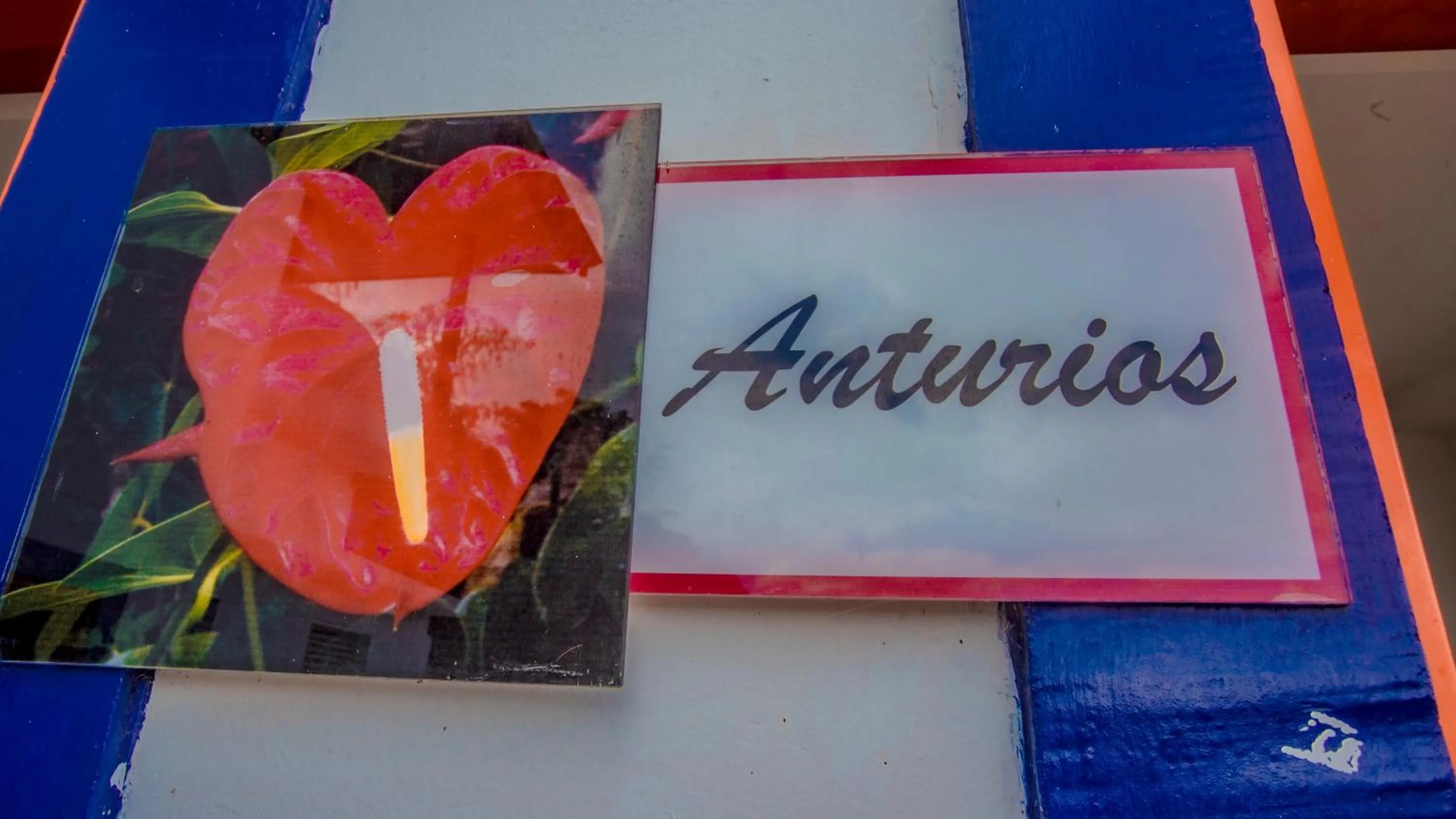 Spring in Hotel Hacienda San Isidro