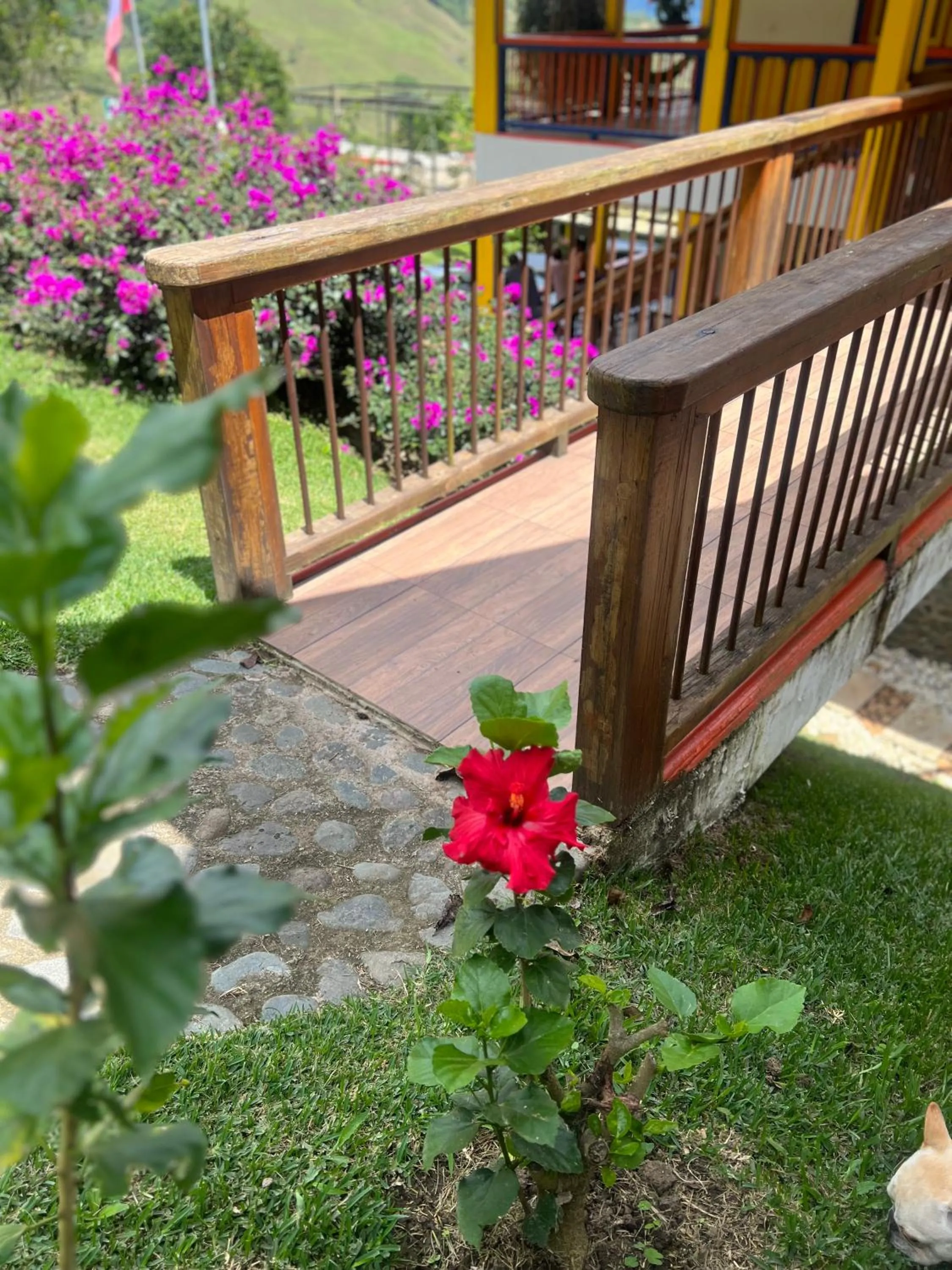 View (from property/room) in Hotel Hacienda San Isidro