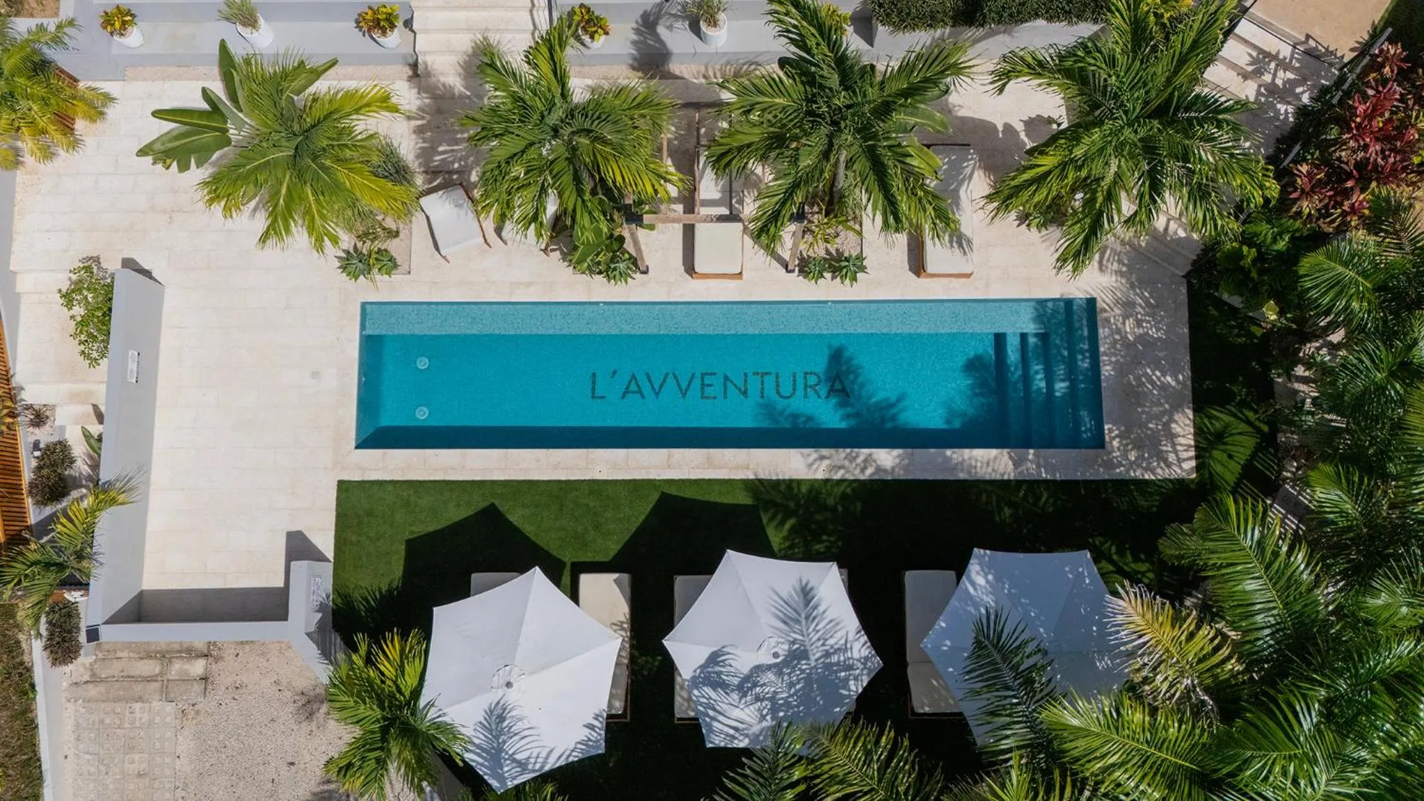 Logo/Certificate/Sign in L'Avventura